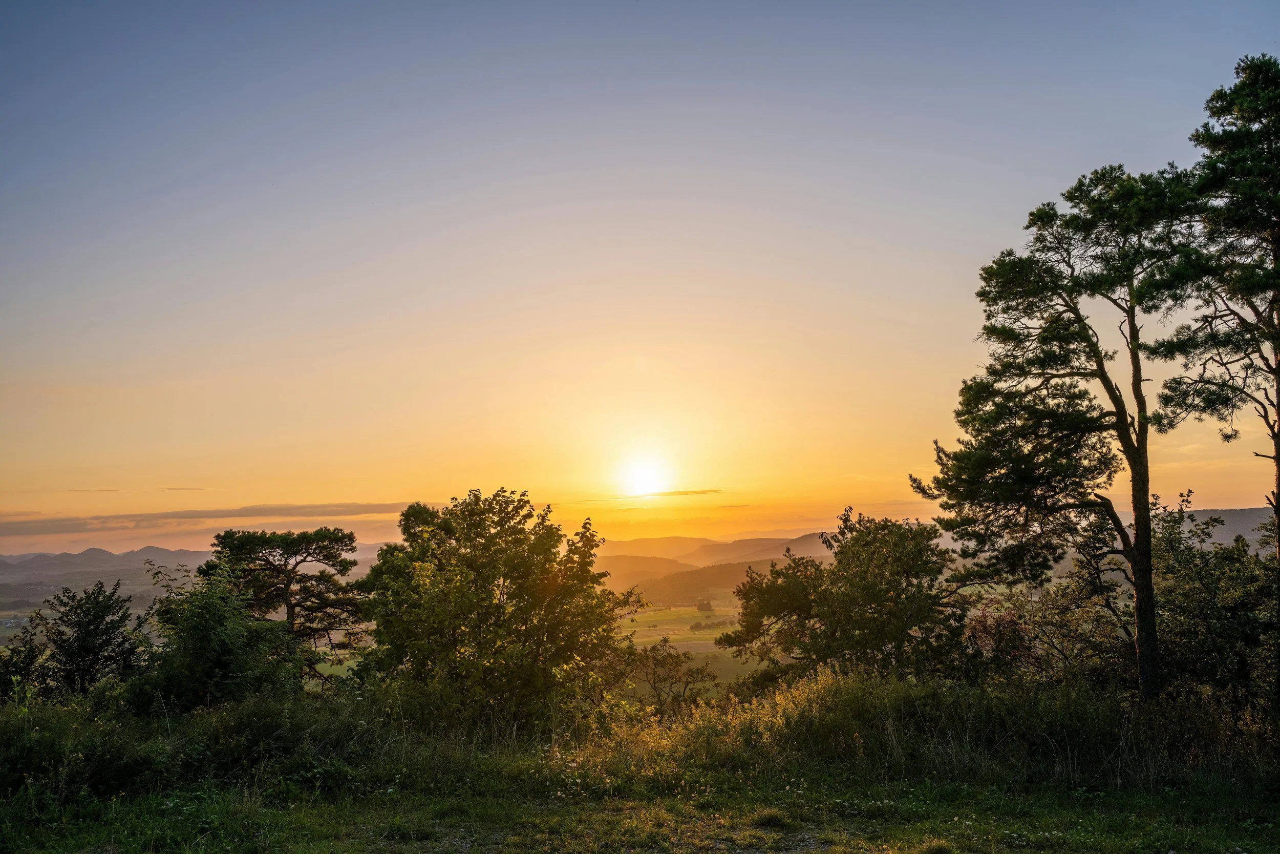 Serene sunrise landscape view from a hillside overlooking green grass and trees, with soft morning light over a peaceful natural setting