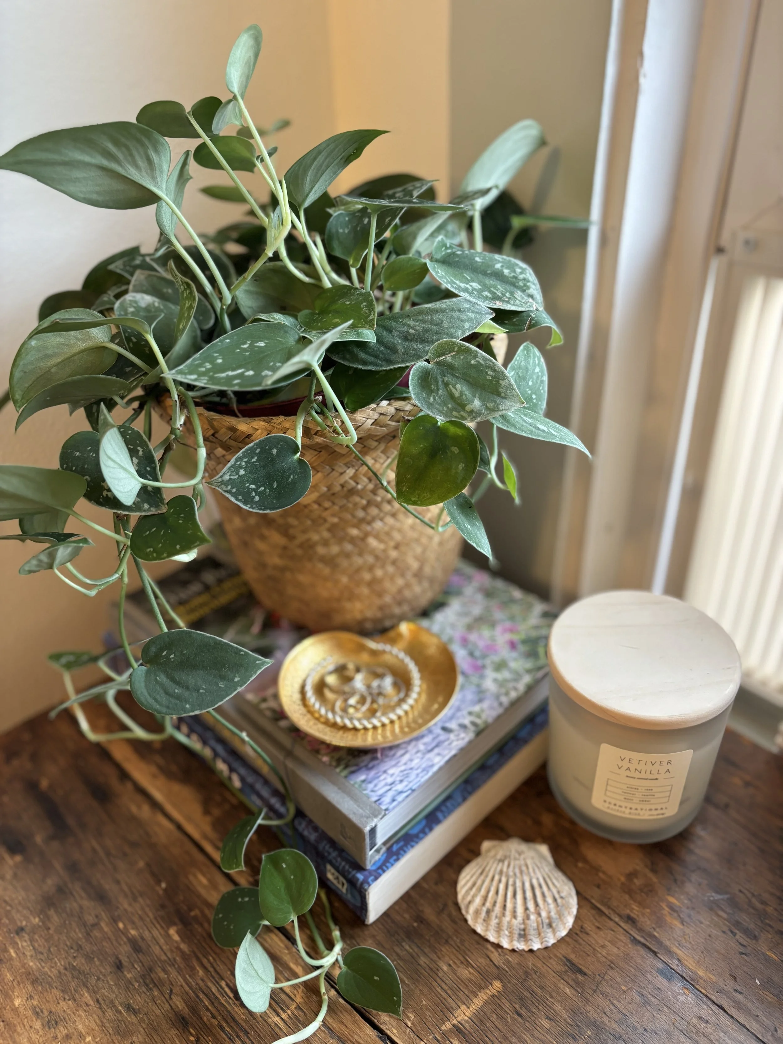 A potted pothos plant sits atop a stack of books on a wooden surface, with a seashell, a yellow dish holding jewelry, and a white candle with a wooden lid nearby. Sunlight streams through a nearby window.