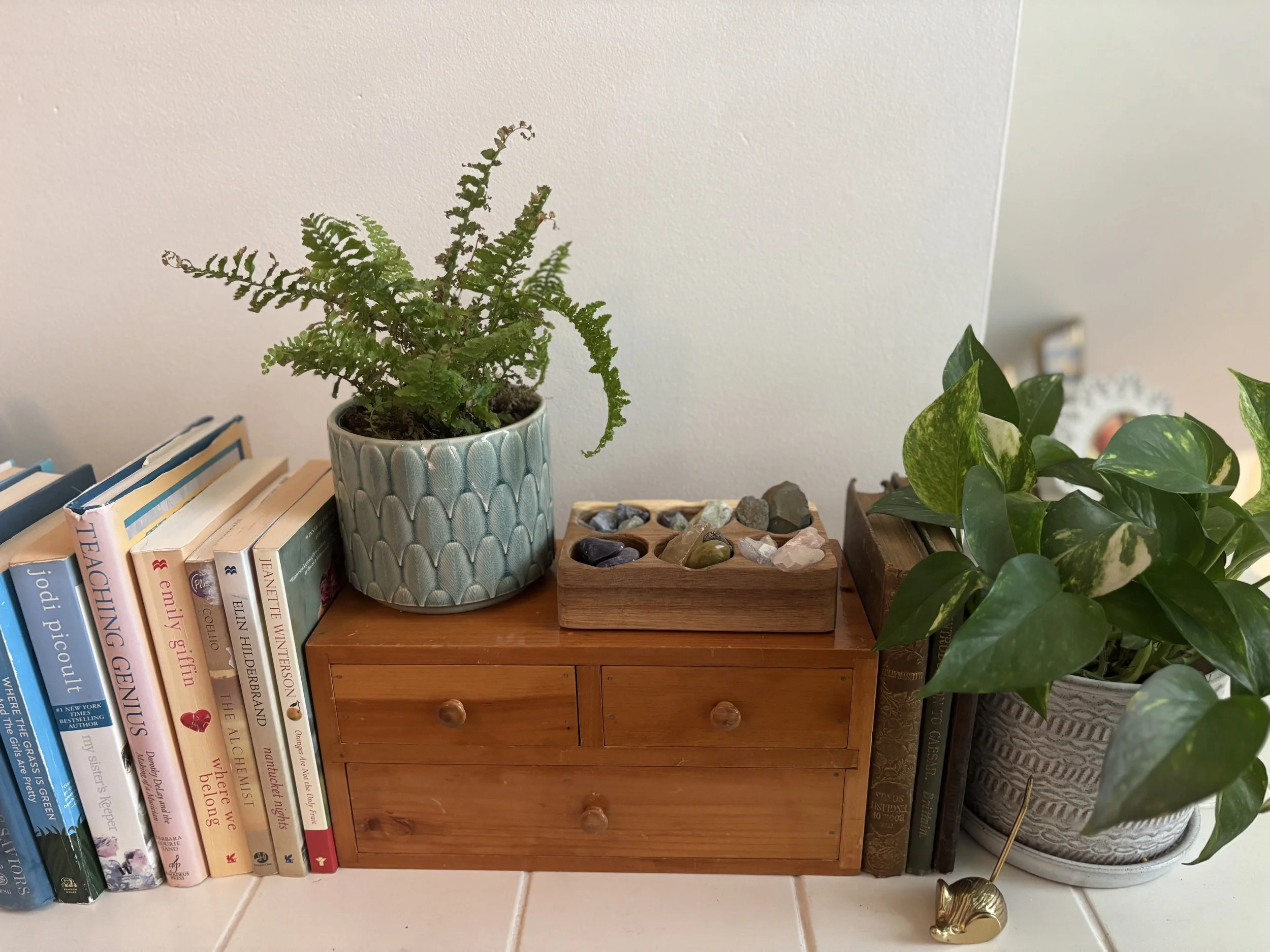 Bookshelf with books, potted plants, stones in a wooden tray, and a small gold mouse figurine.