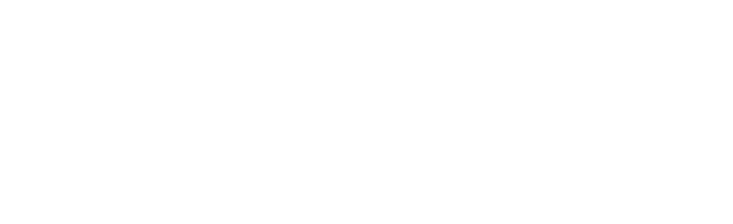 Hair Skin Club Horizontal Logo in White