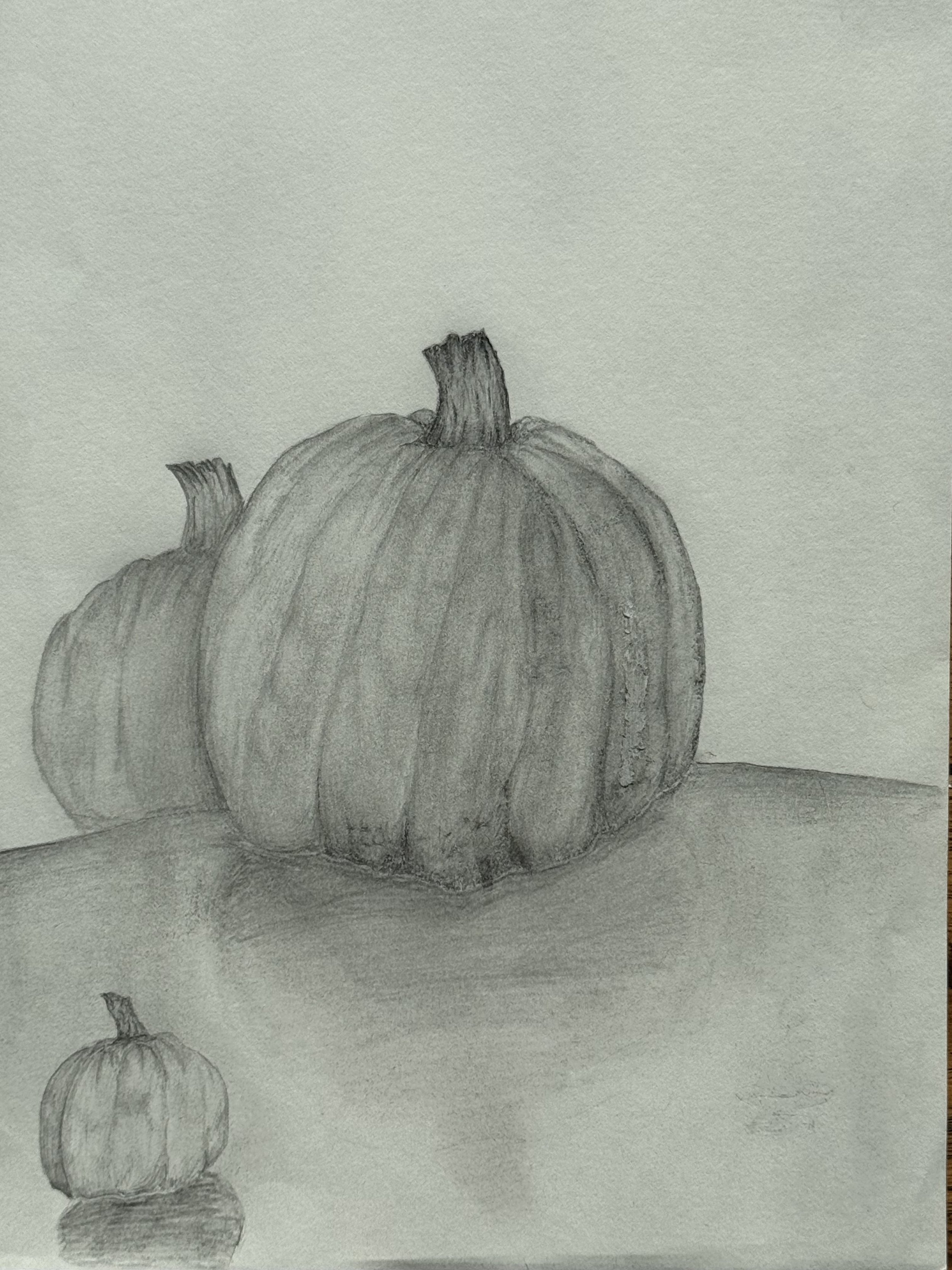 Graphite on paper, 2026