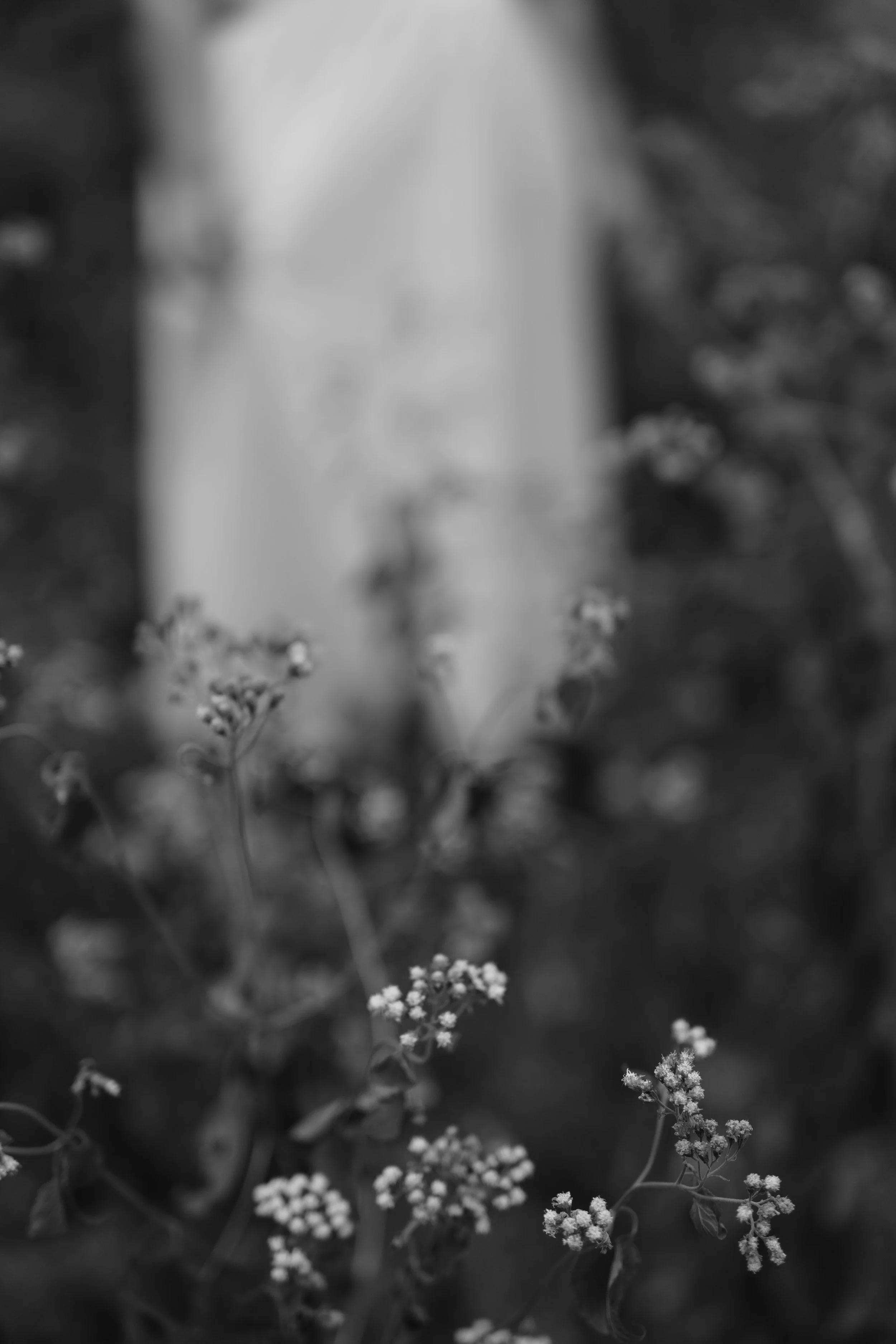 DSC00861.JPG