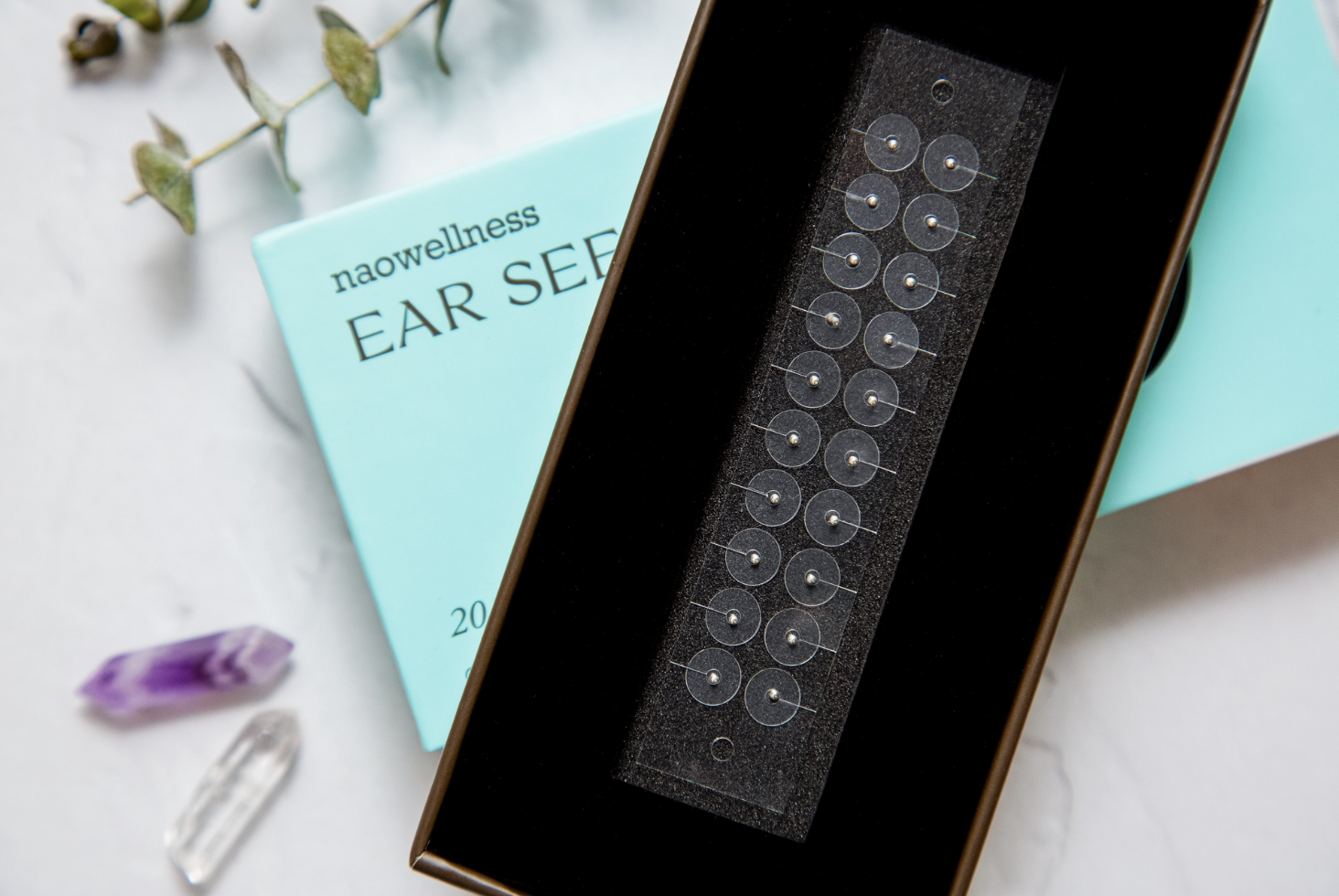 Screenshot 2026-02-16 at 7.00.10 PM.png