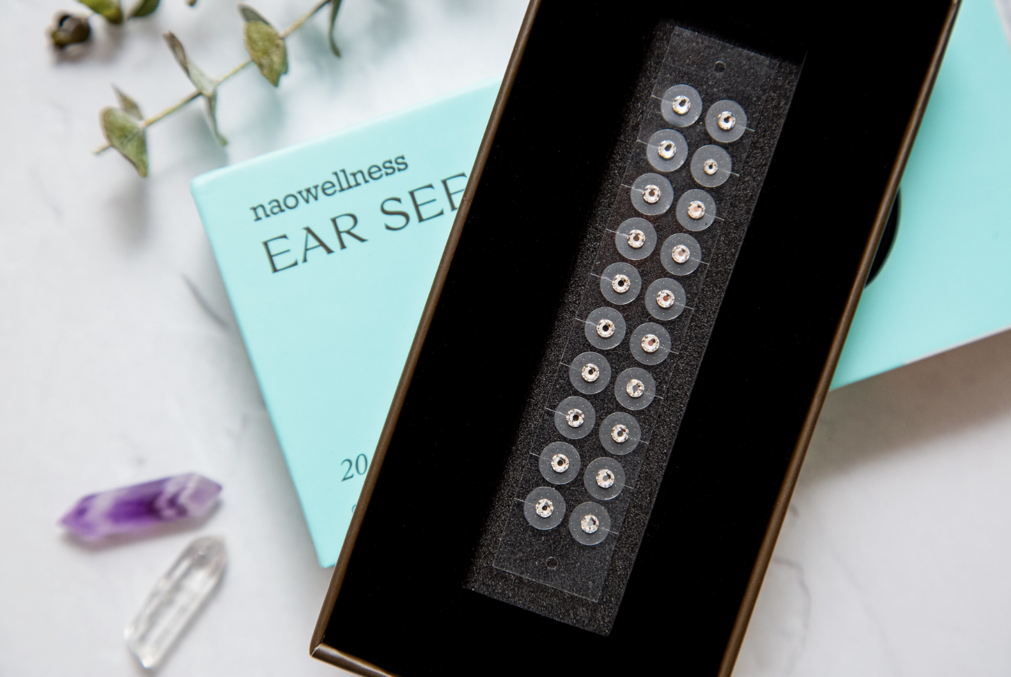 Screenshot 2026-02-16 at 6.56.34 PM.png