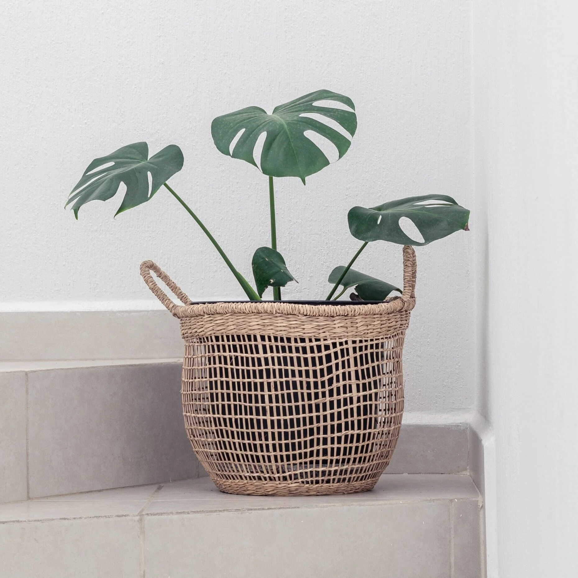 Alexa Basket – $36.00