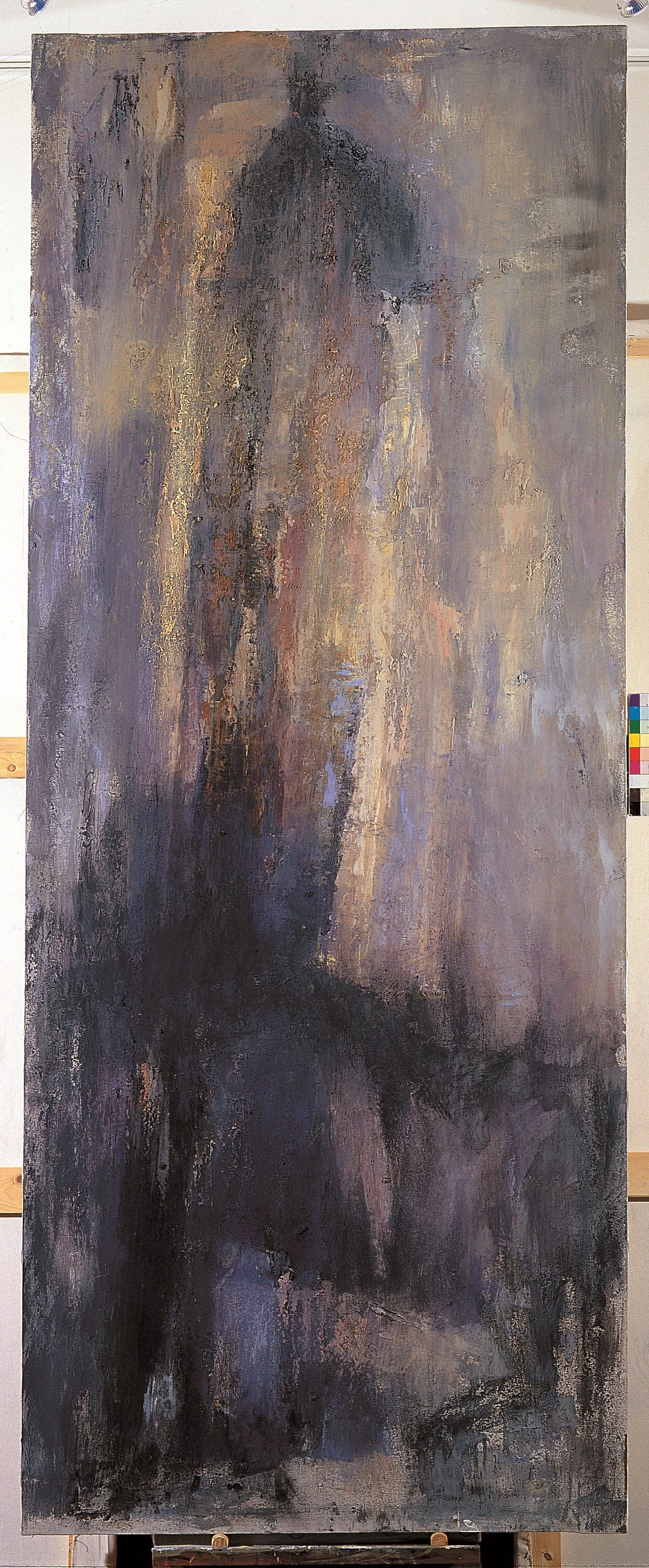 Visione di terra 1,  1/6, tecnica mista su tela; cm 250 x 100