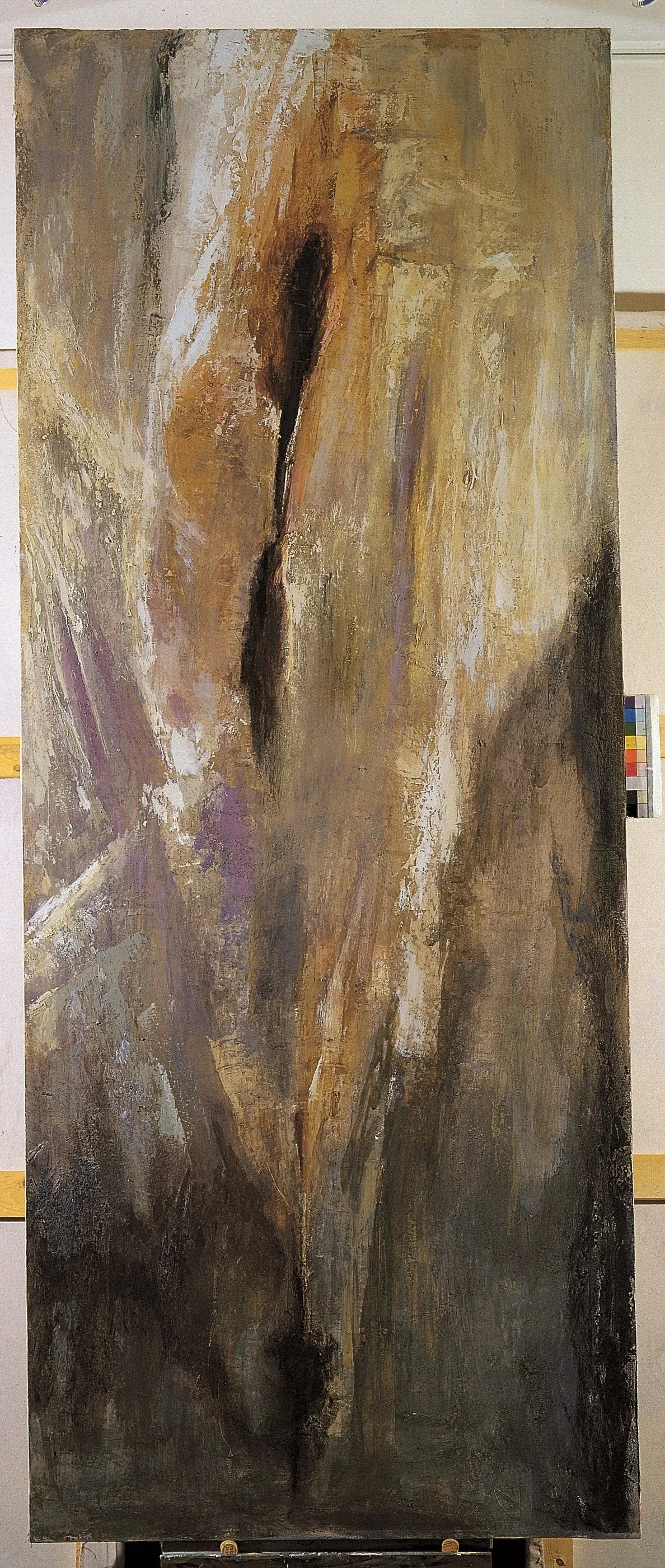 Visione di terra 4,  4/6, tecnica mista su tela; cm 250 x 100