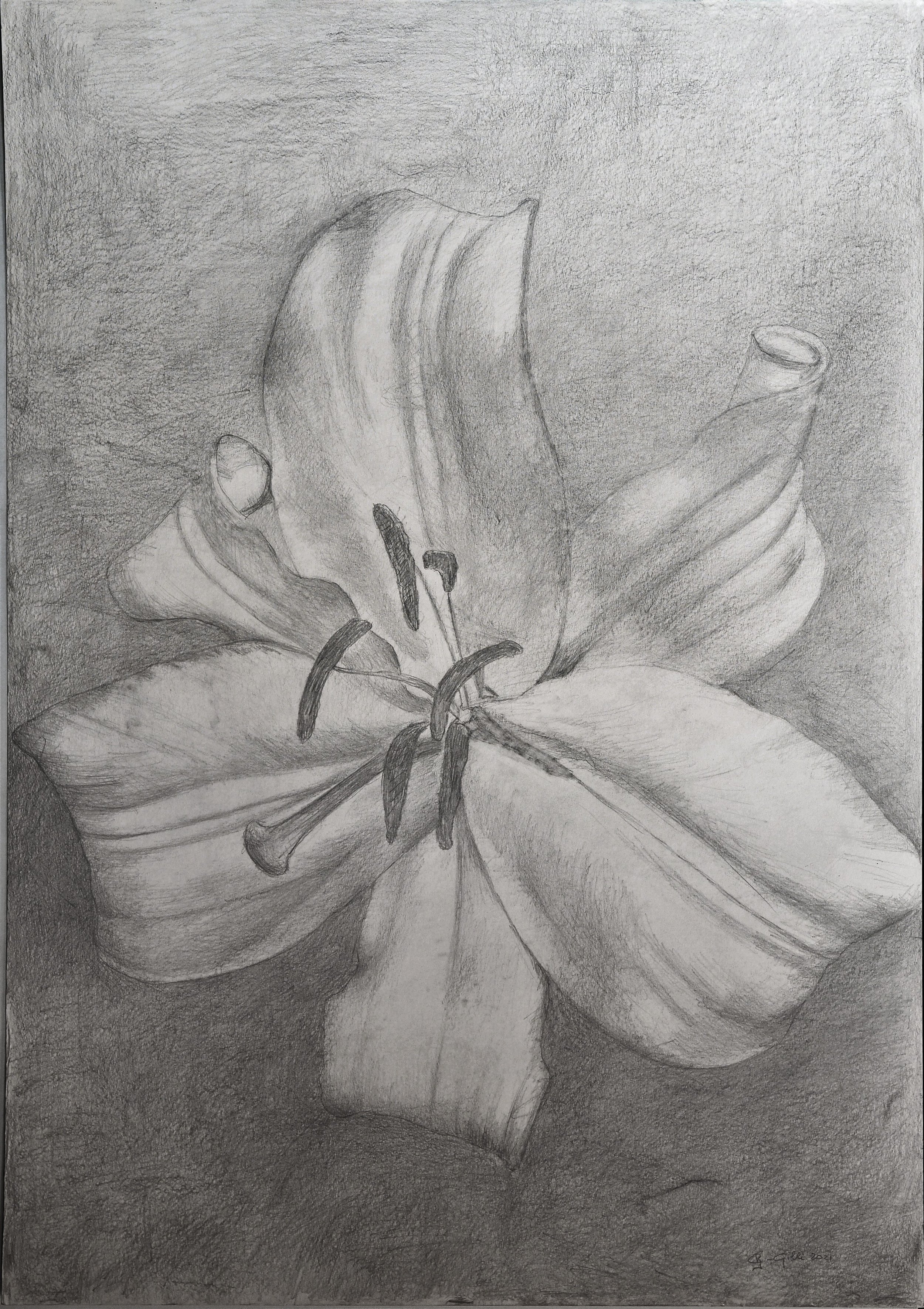 FLEUR DE LYS, collezione privata