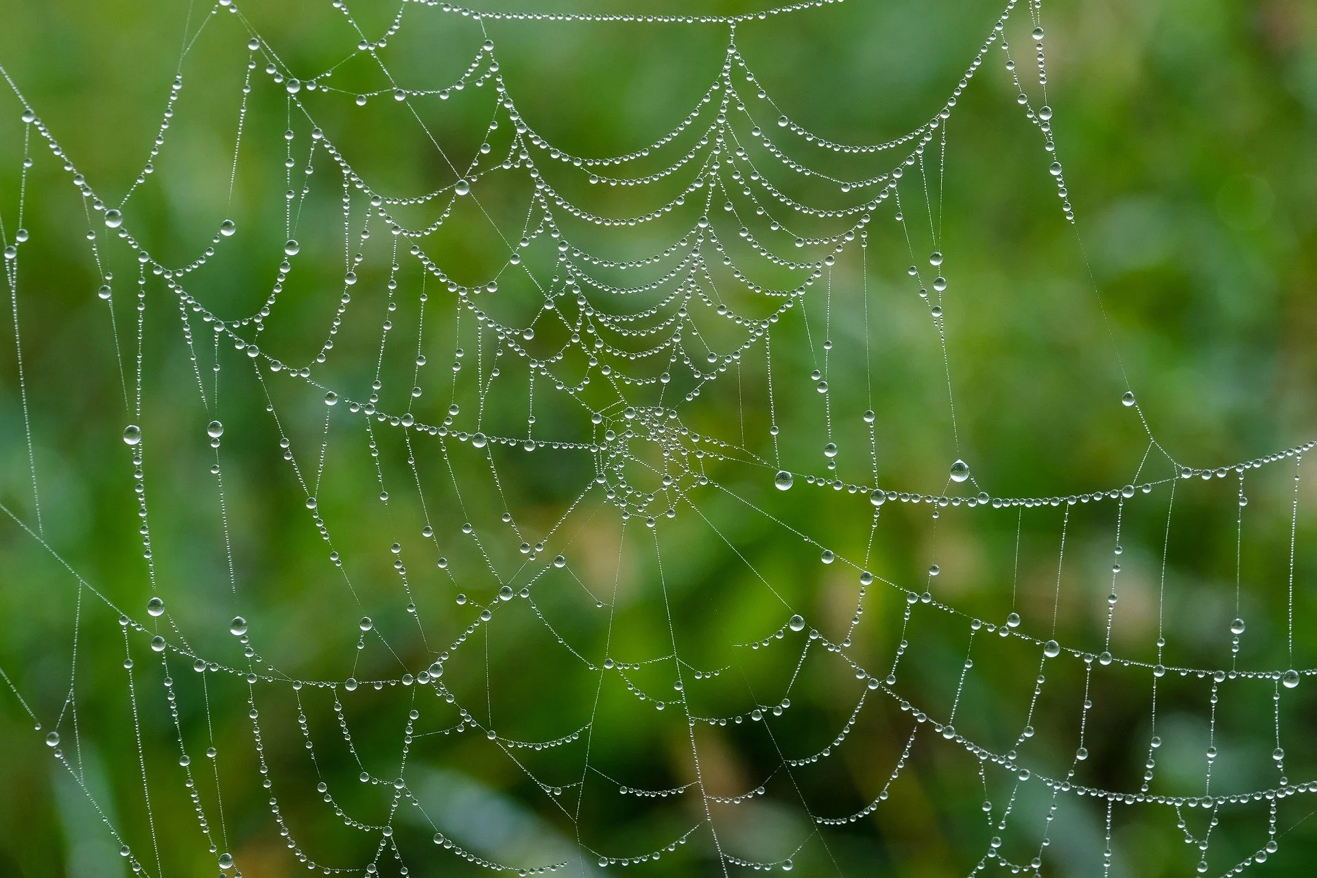 What I Wish I Had Known Before I Hired a Web Designer