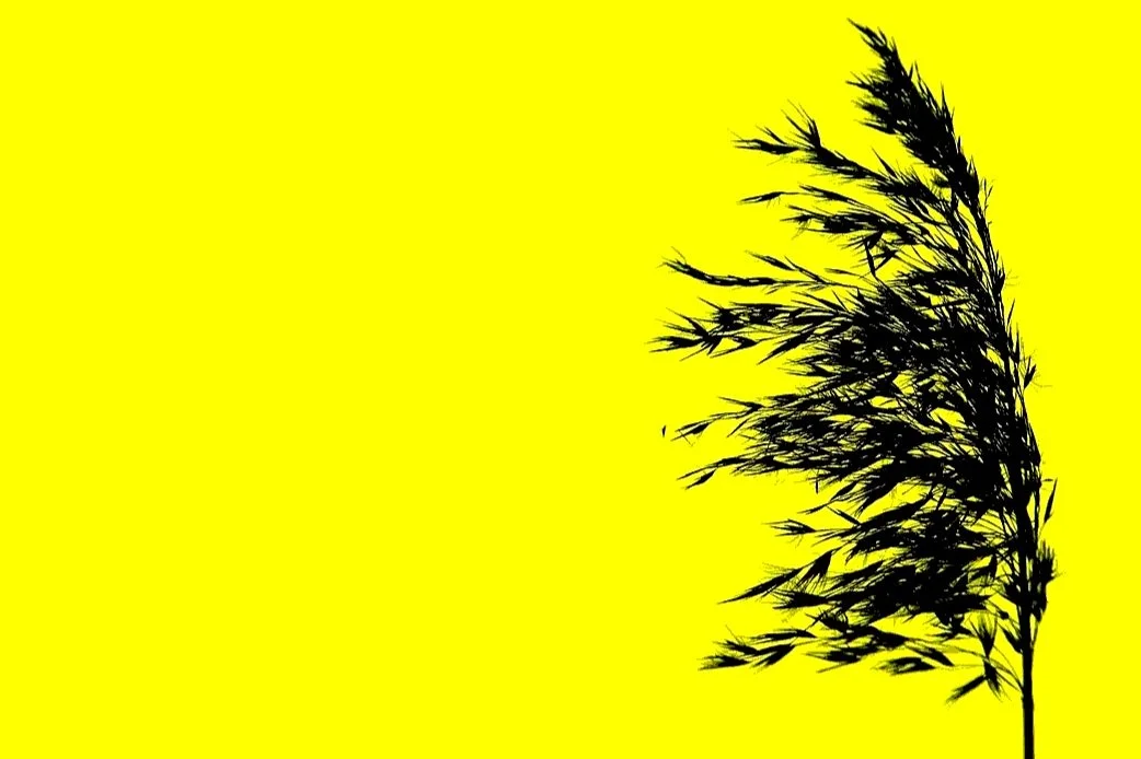 Niche Positioning Report