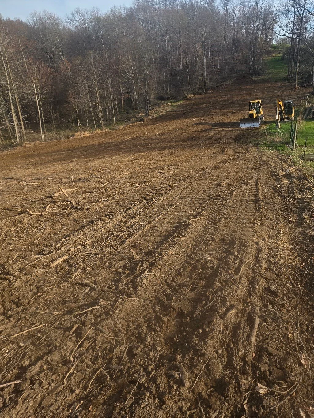 Trees and vegetation removed! 