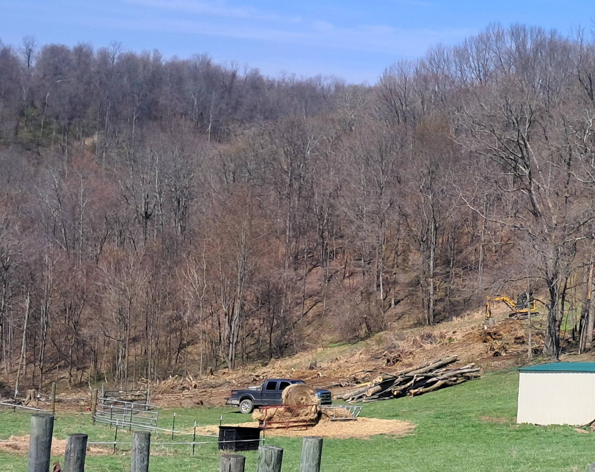 Land Clearing - Food Plot