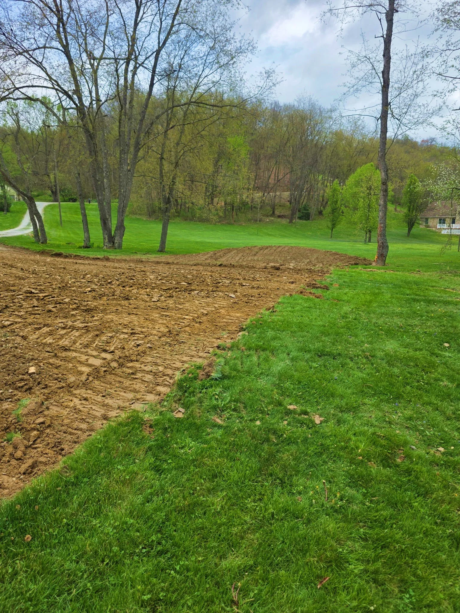 Day 2 groundwork.jpg