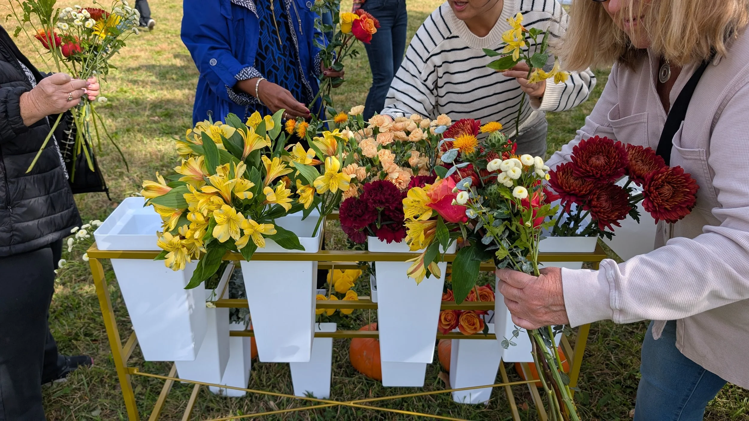 A colorful bouquet of farm fresh flowers of zinnia, scabiosa, cosmos, and other filler flowers, set against a blue background.