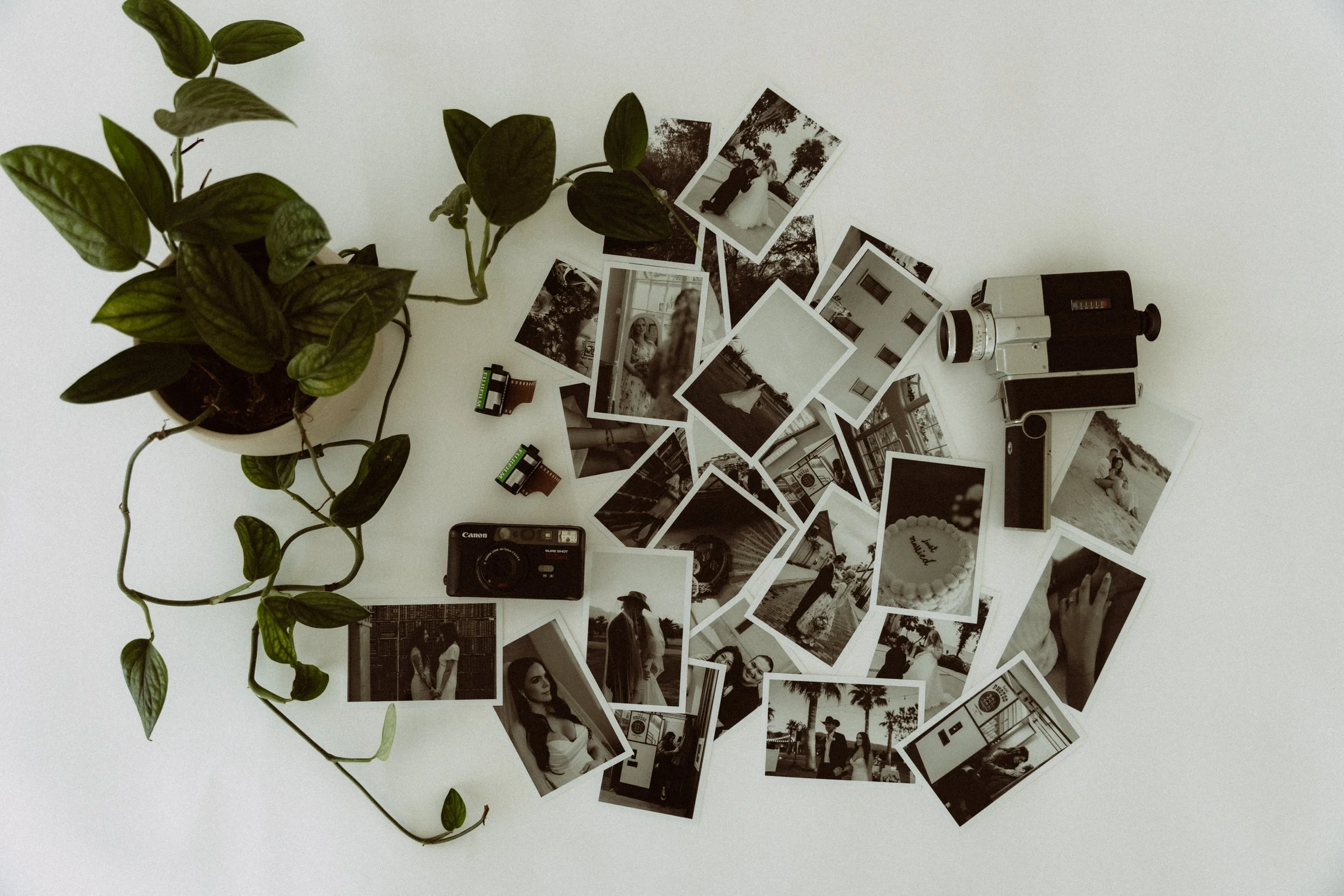A collection of black-and-white photographs, a vintage camera, a potted plant, film rolls, and a disposable film camera arranged on a white surface.