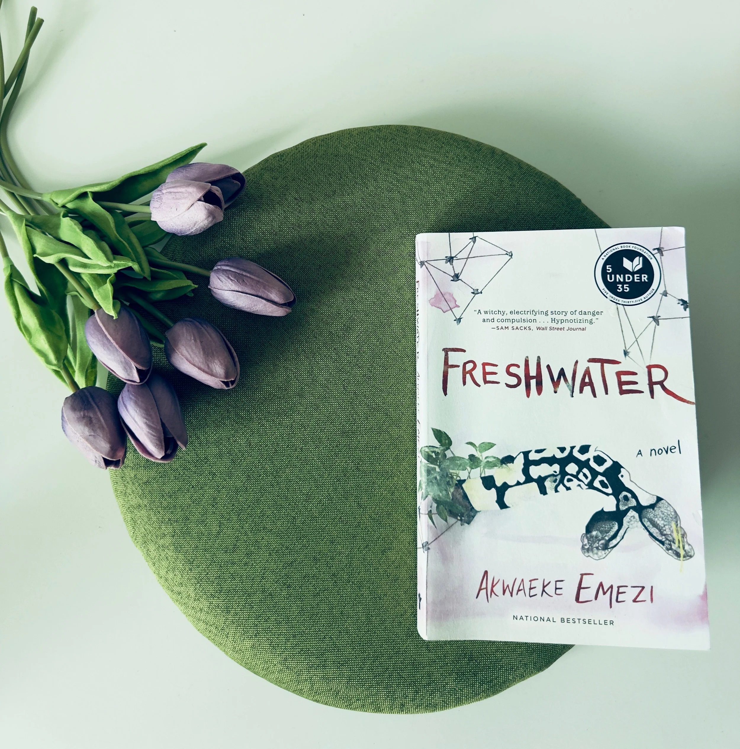 6/10 - Psychological Fiction - This Was a Headache, But to Each Its Own.