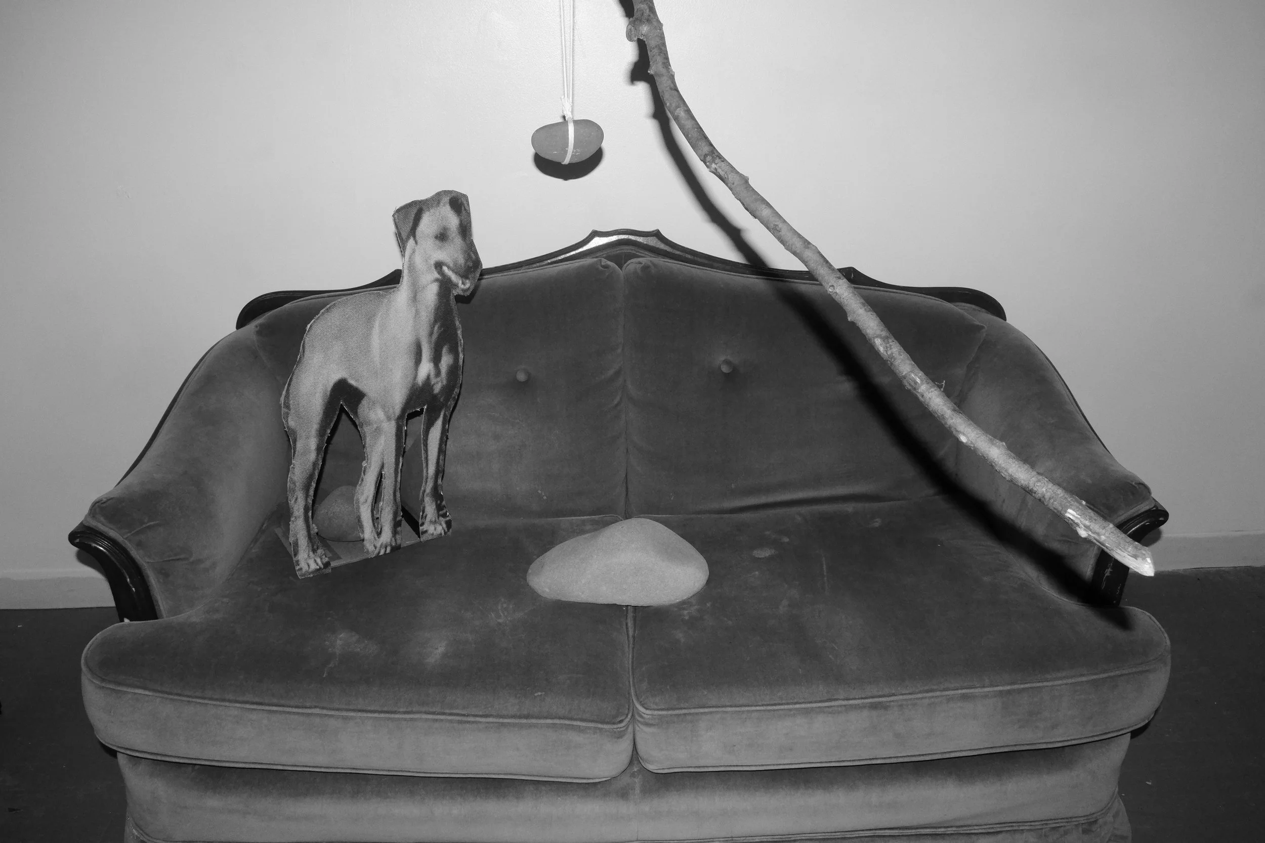 DSCF5193.JPG