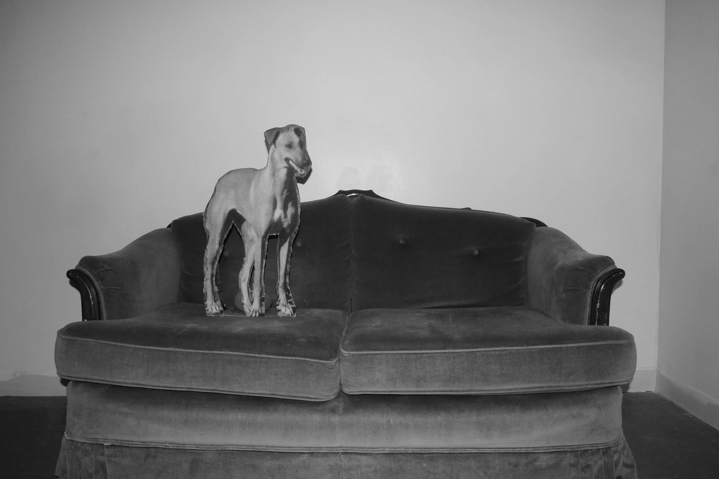 DSCF5179.JPG