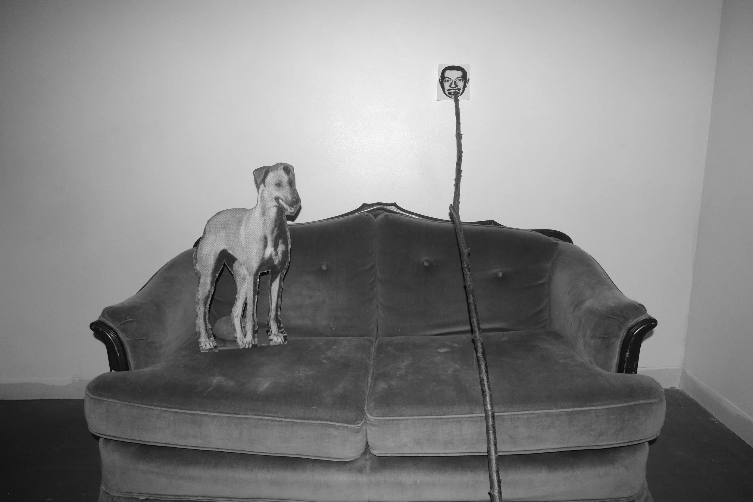 DSCF5207.JPG