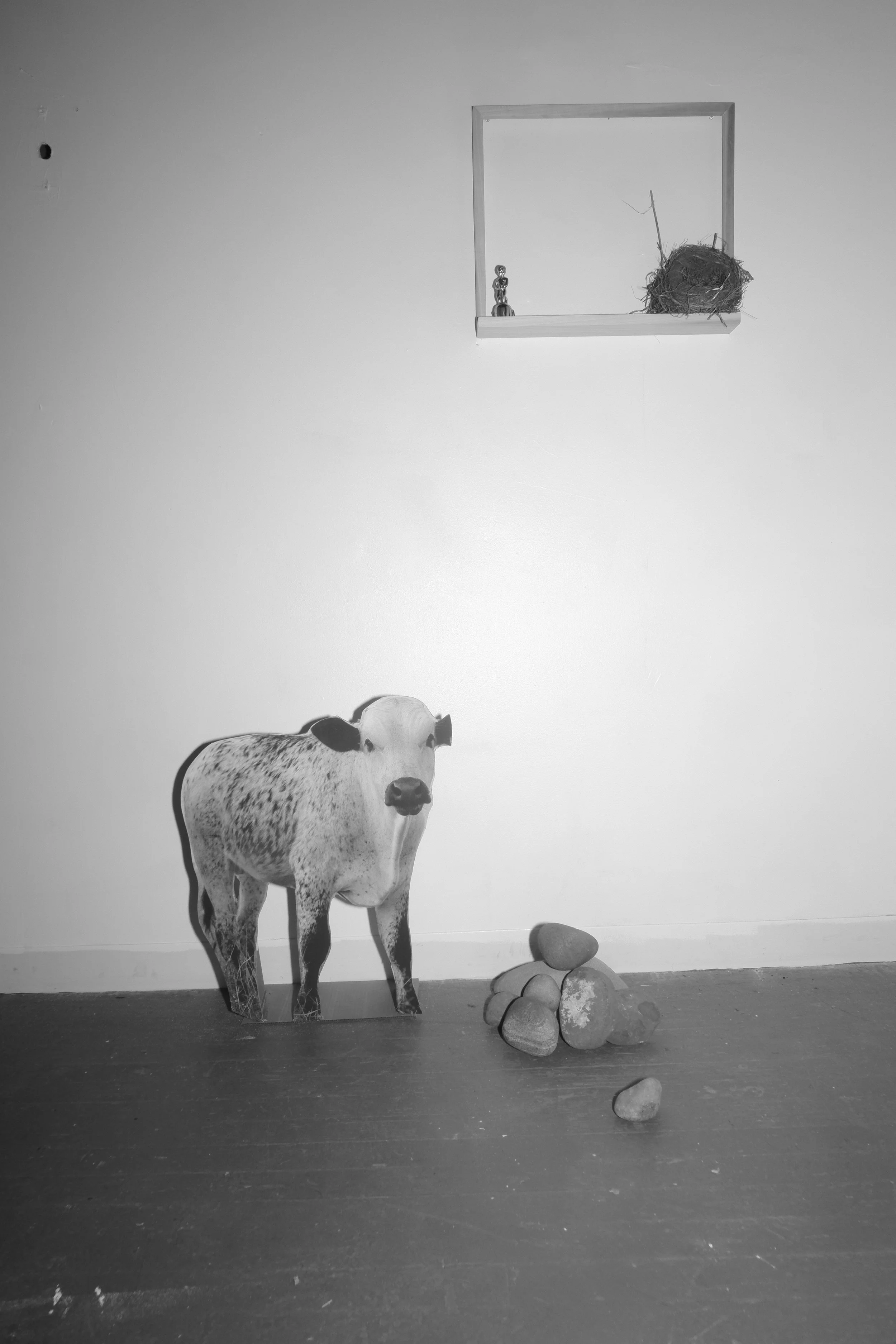 DSCF5619.JPG