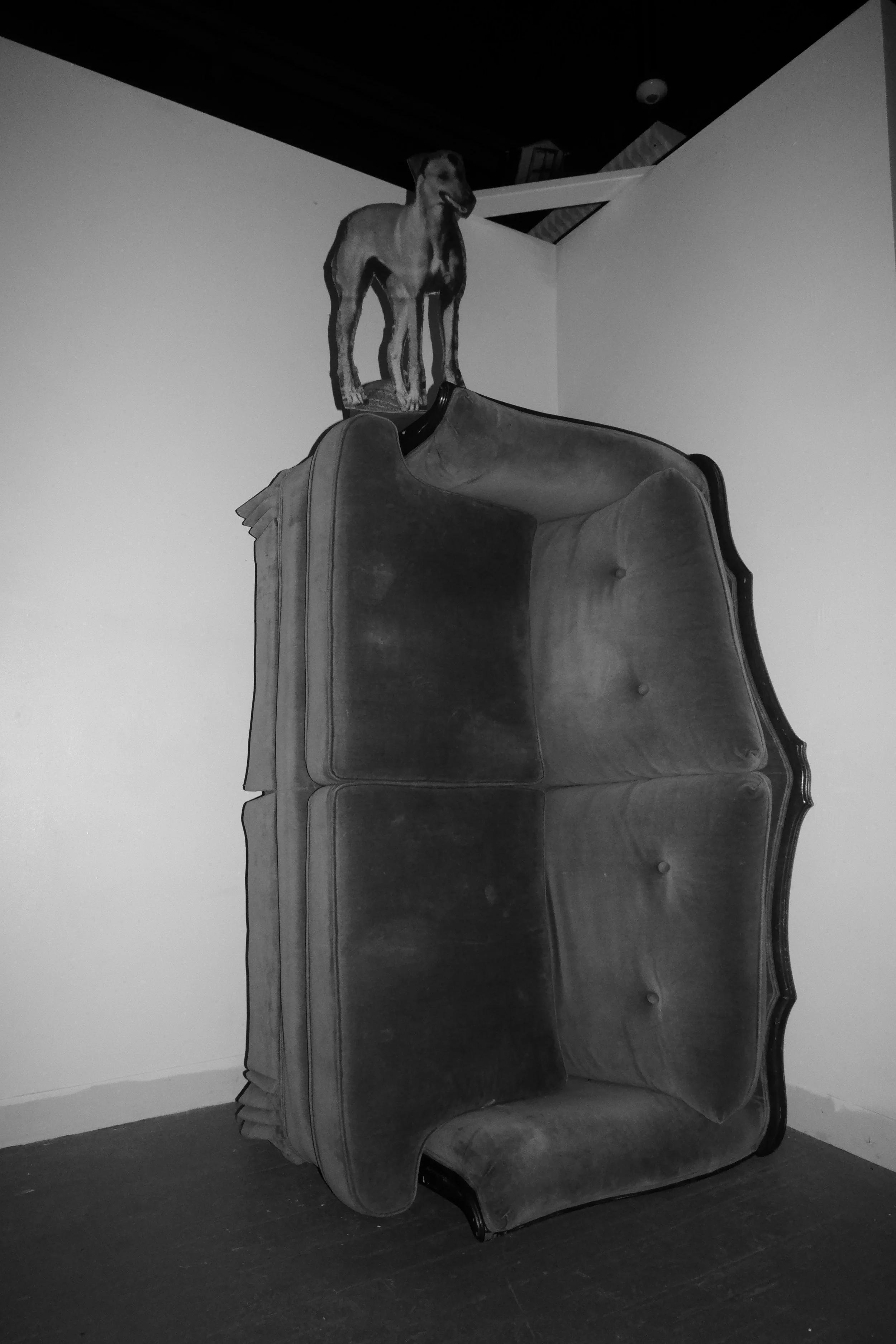 DSCF5250.JPG