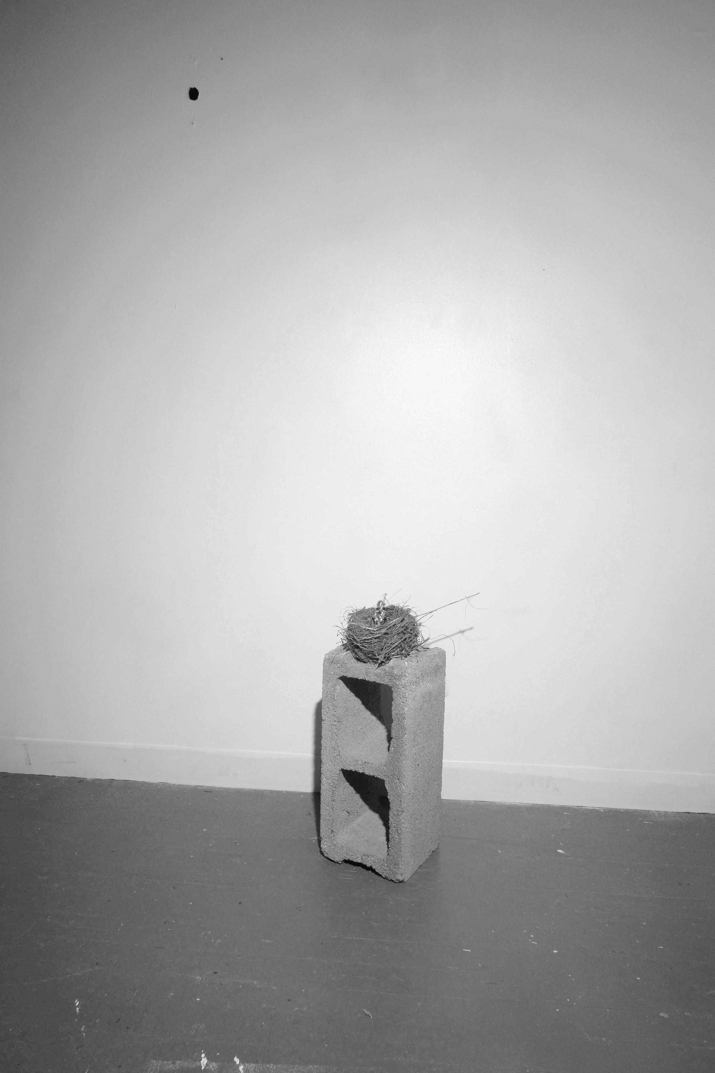 DSCF5585.JPG