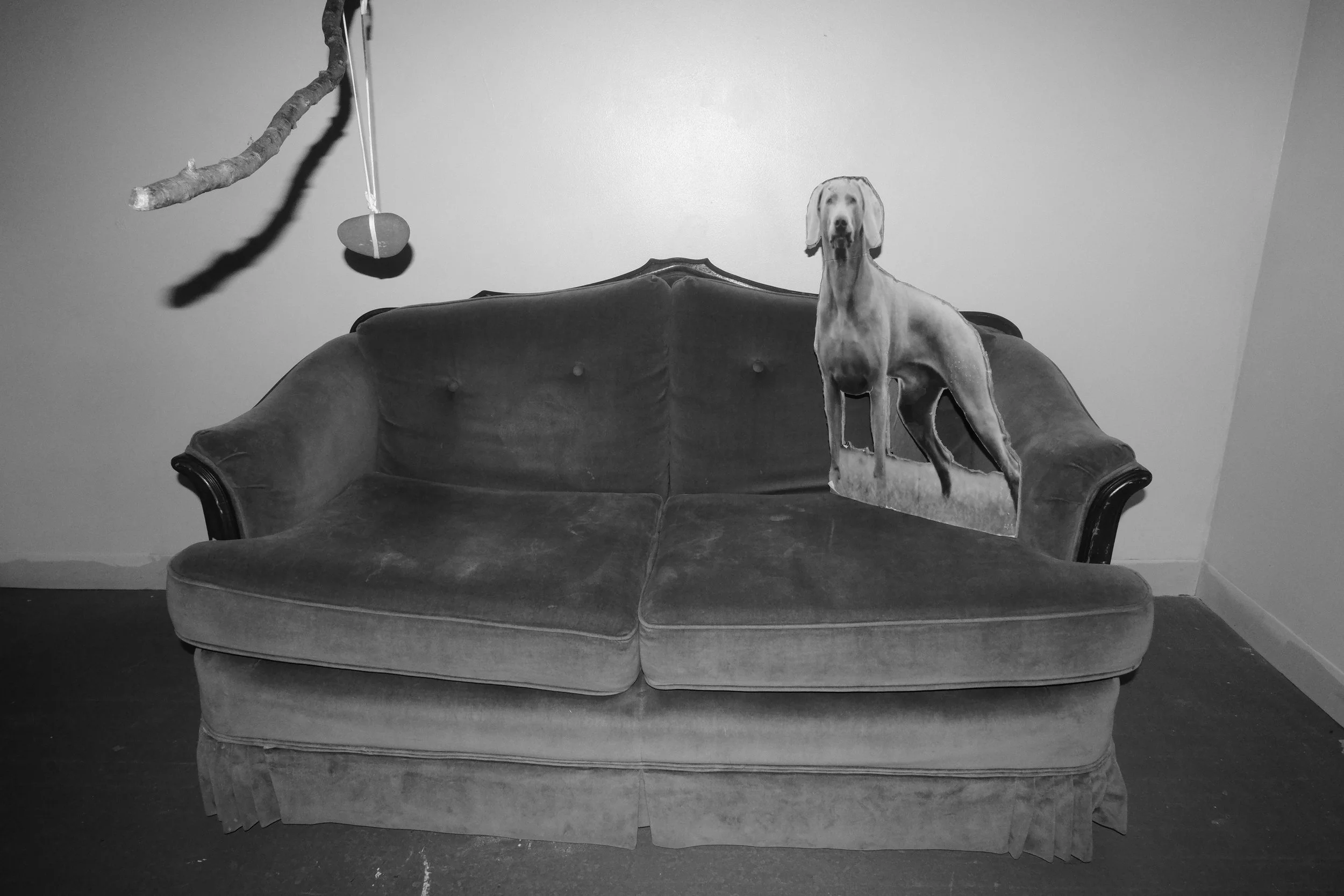 DSCF5198.JPG