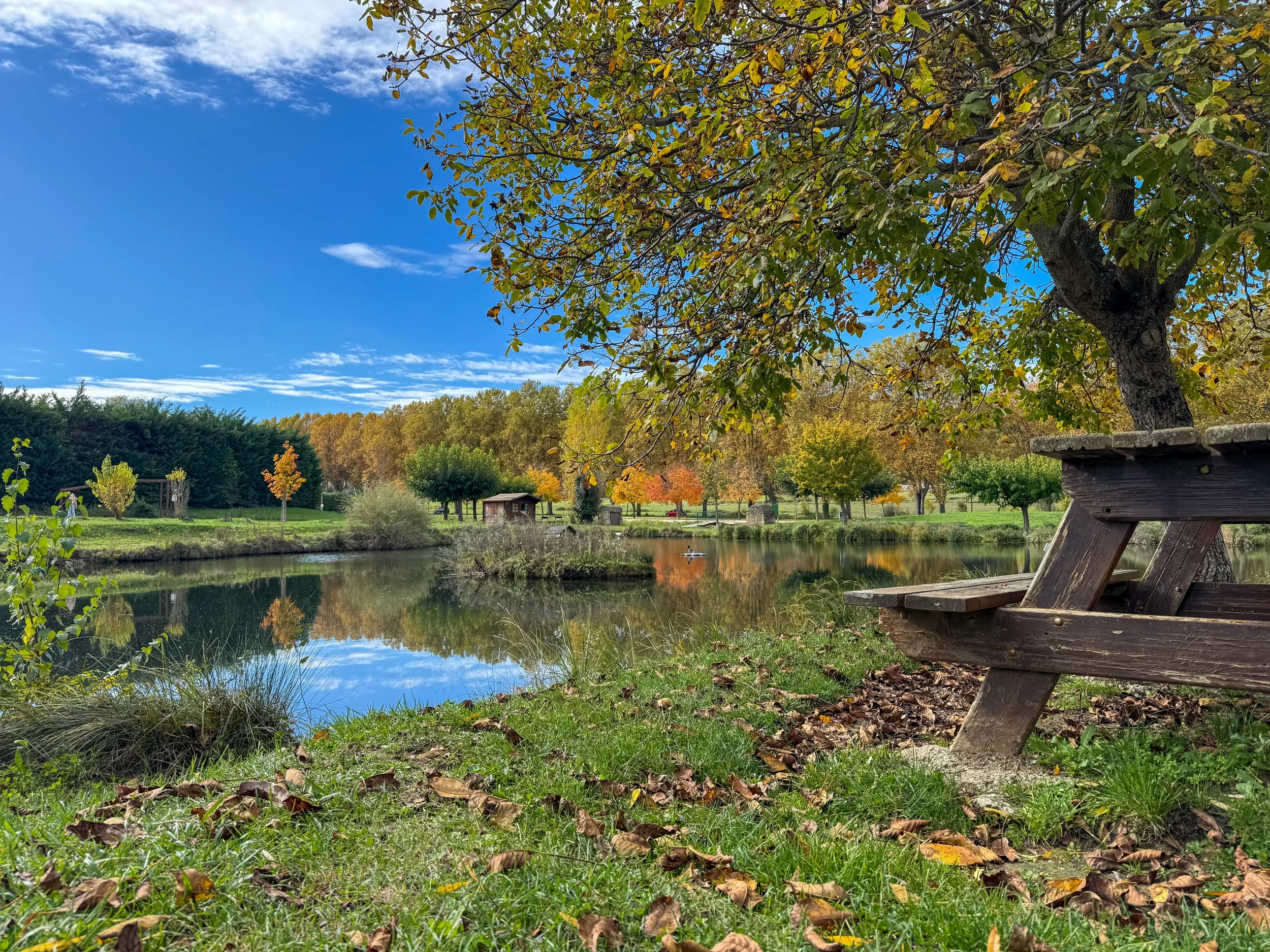 Park met wandel- en sportvoorzieningen op enkele minuten loopafstand.
