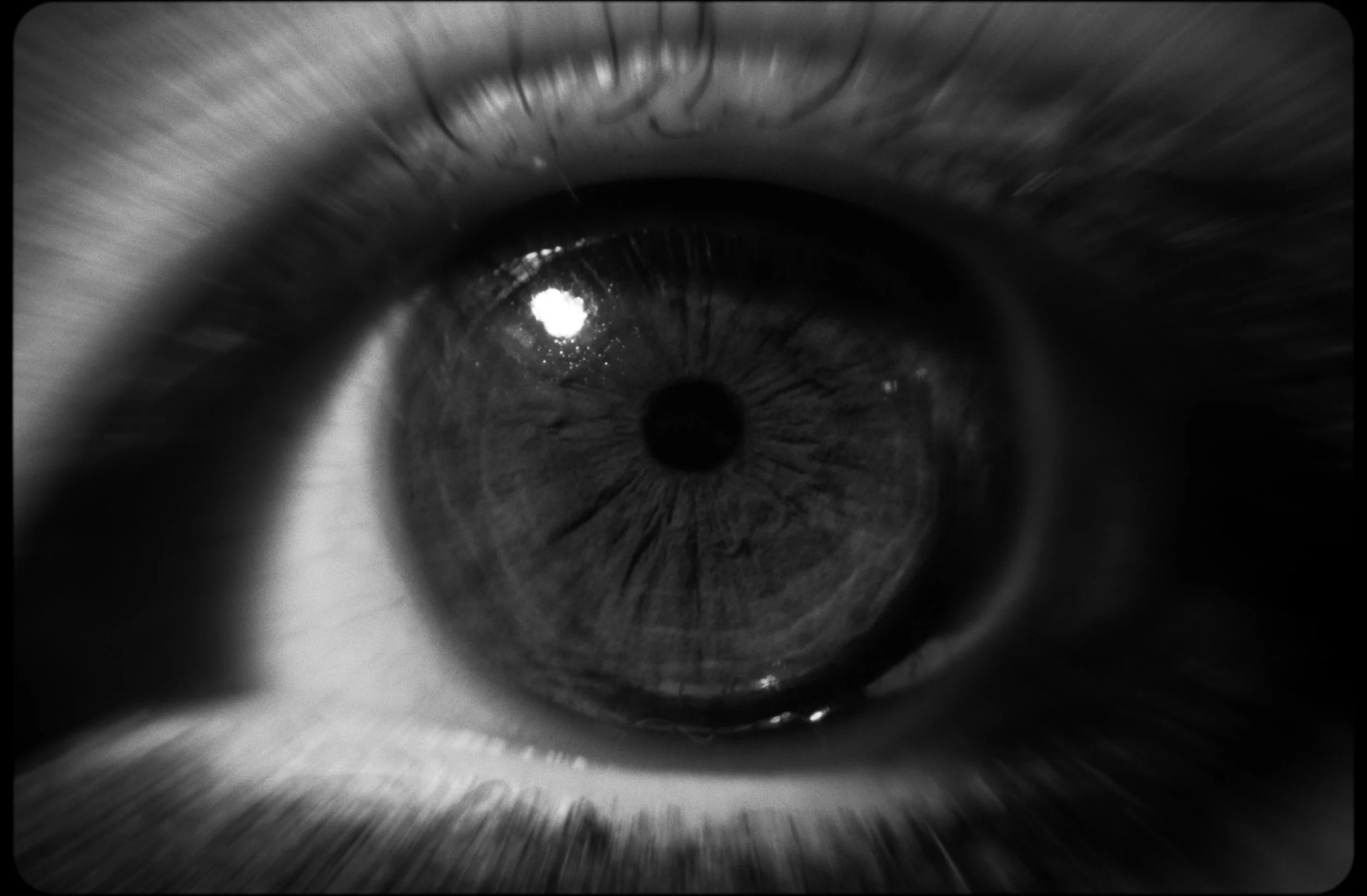 Still 2026-02-10 174602_1.1.1.jpeg