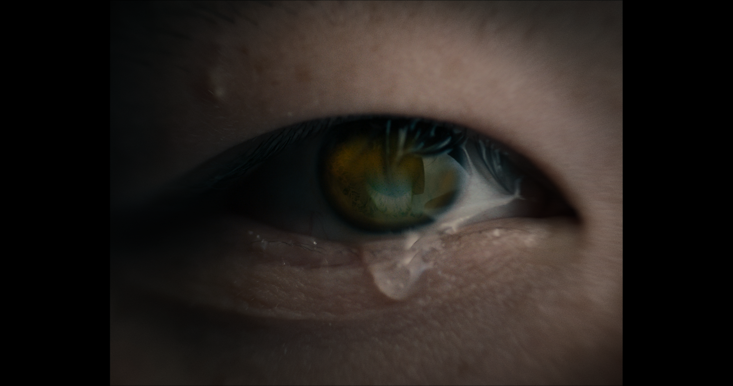 Stills_1411.png