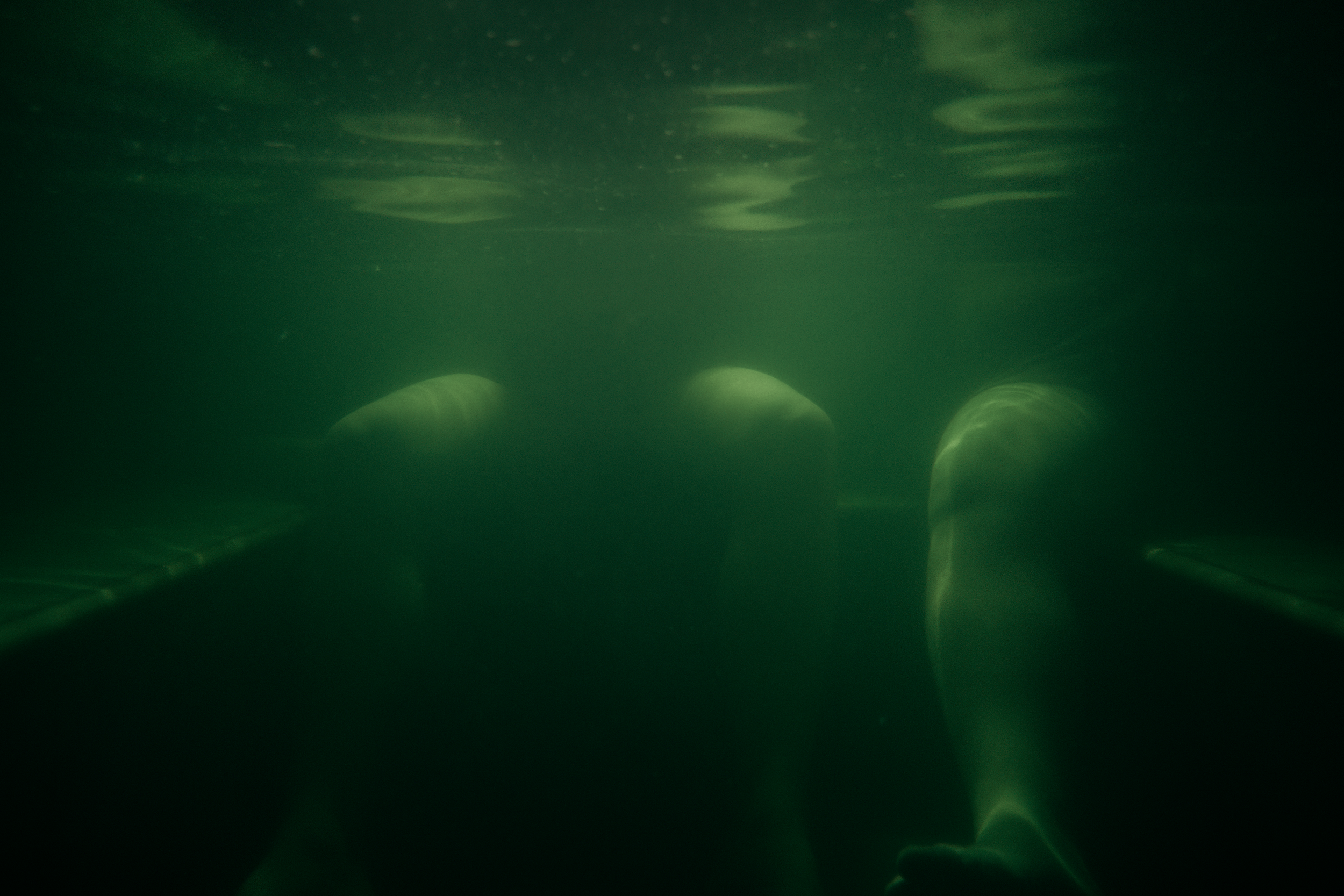 Still 2025-11-05 230027_1.8.2.jpeg