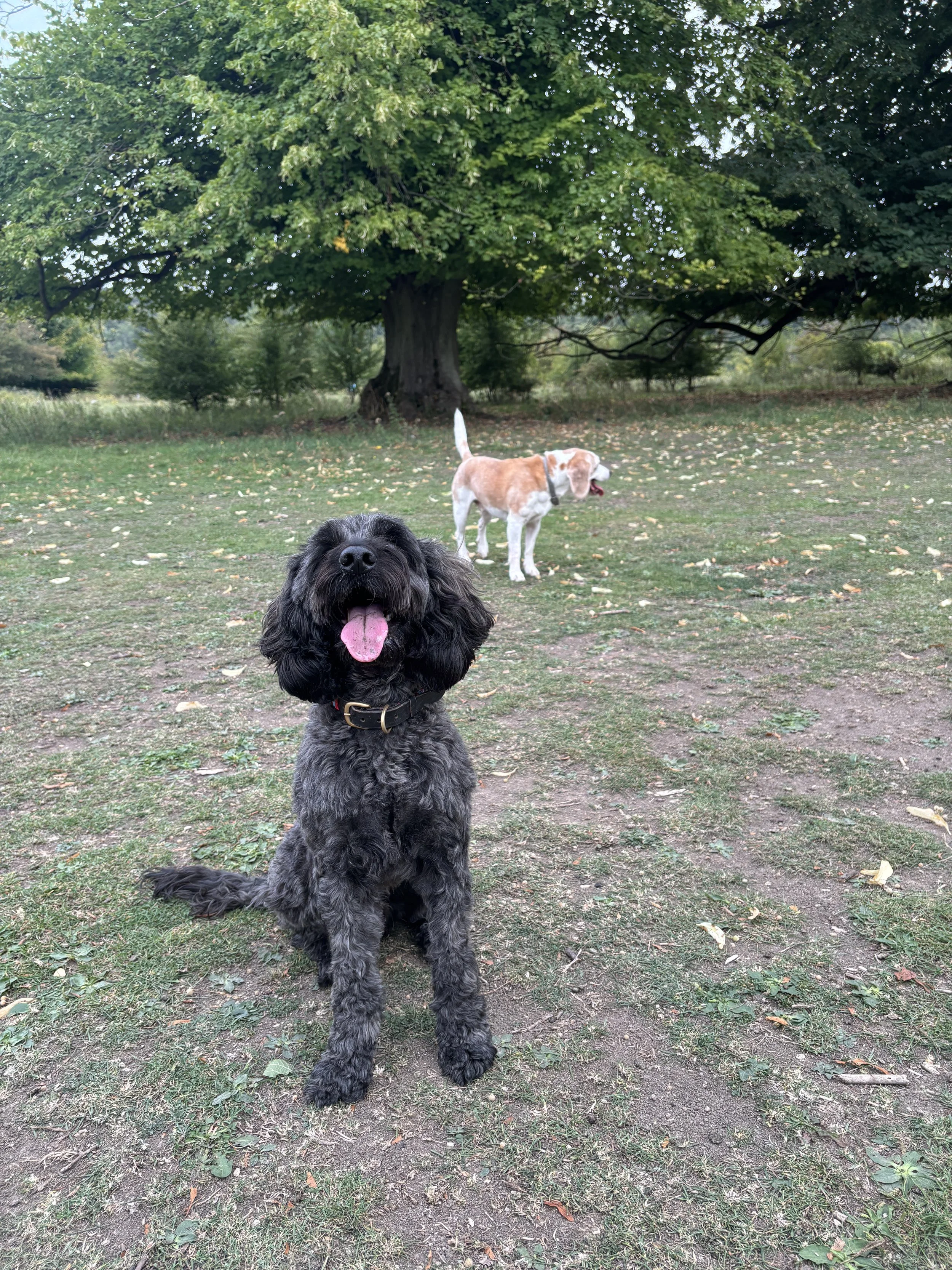 Free 30 min consultation