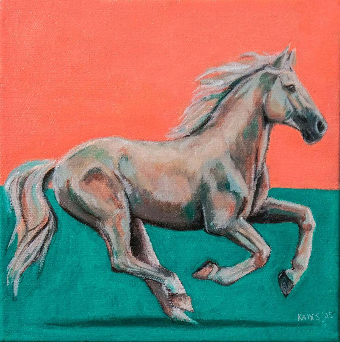 Cotton Candy - Original