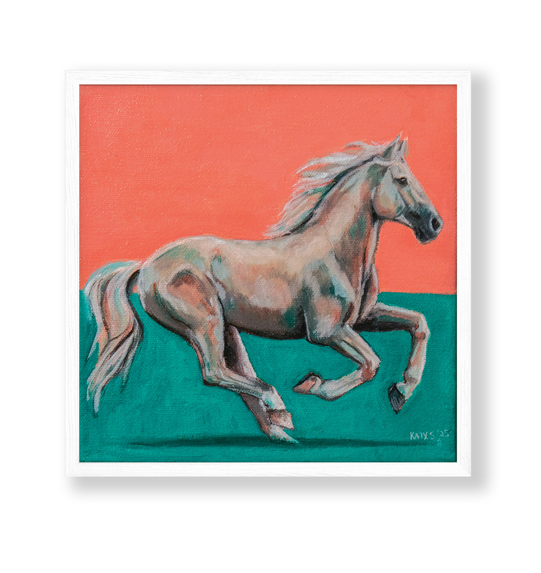 Cotton Candy- Limited Edition Print