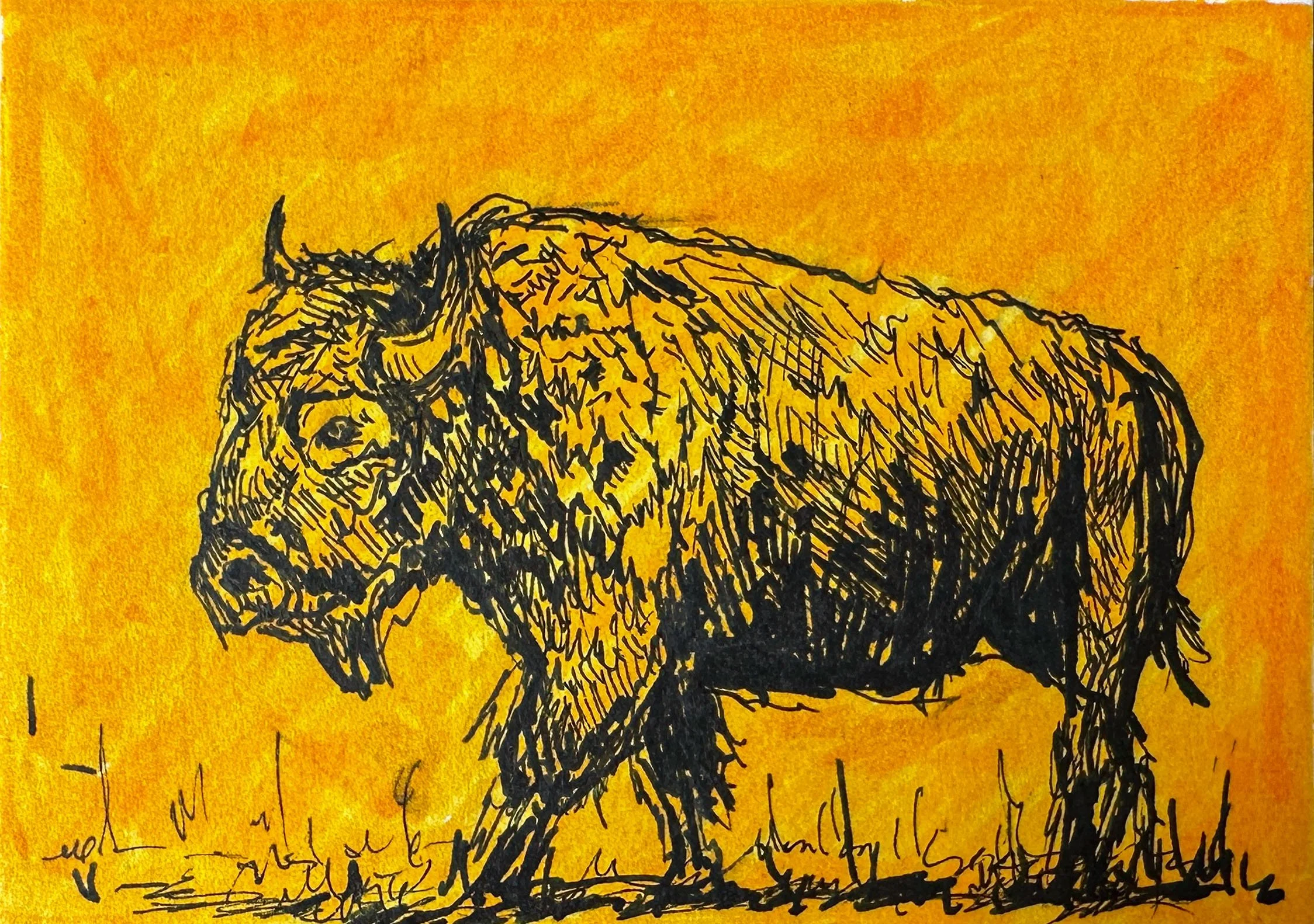 Golden Buffalo- Mini Original