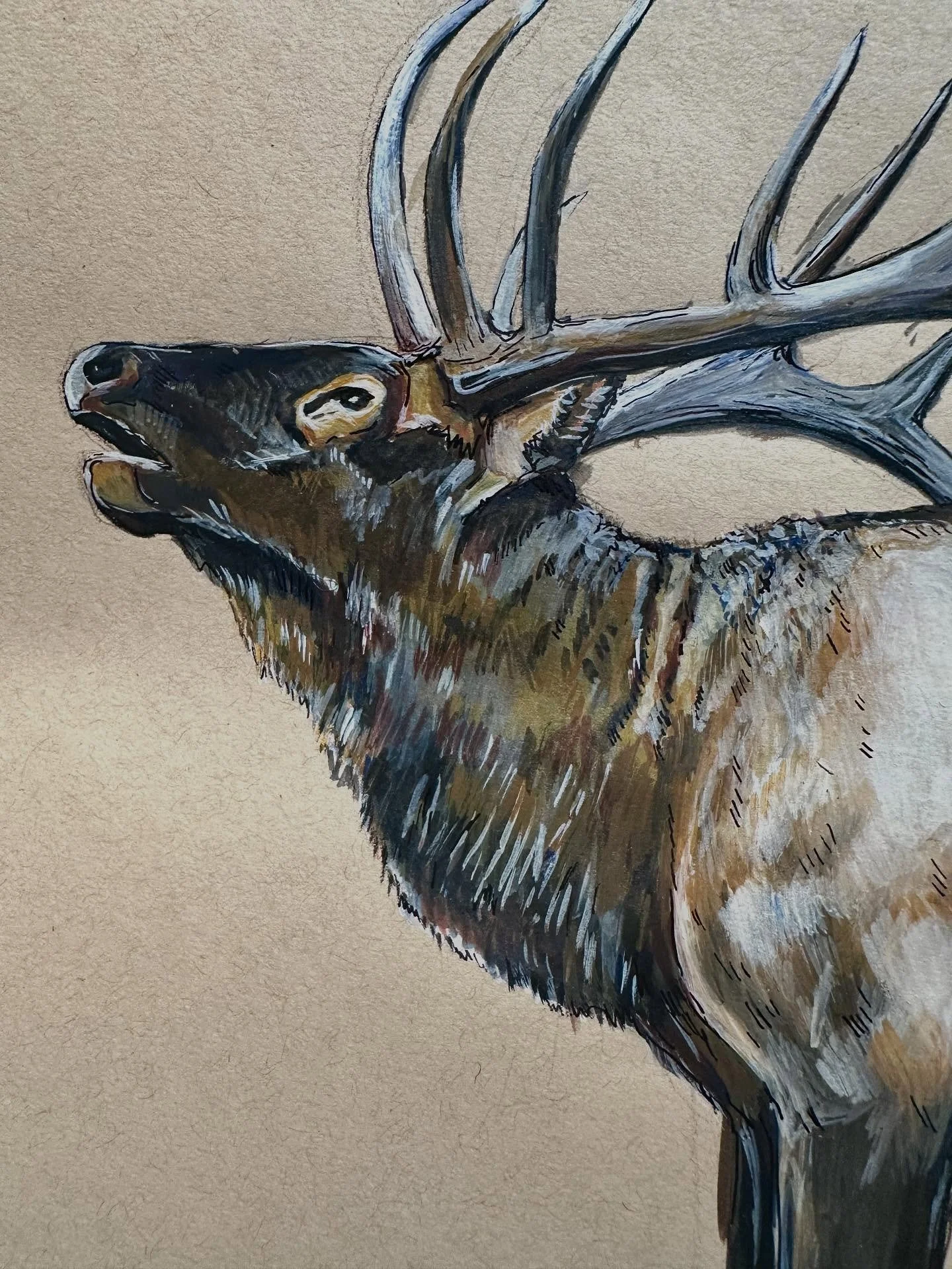Montana friends (and beyond!). If you&rsquo;d like a chance to own one of my original pieces and support a good cause, this 9x12&rdquo; elk painting will be auctioned off on November 8. All proceeds will go to help with Teresa Bare&rsquo;s battle wit