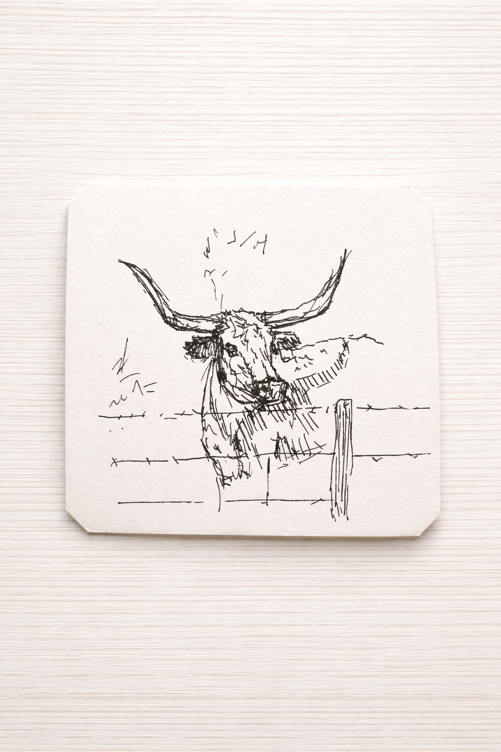 Longhorn Sketch - Original