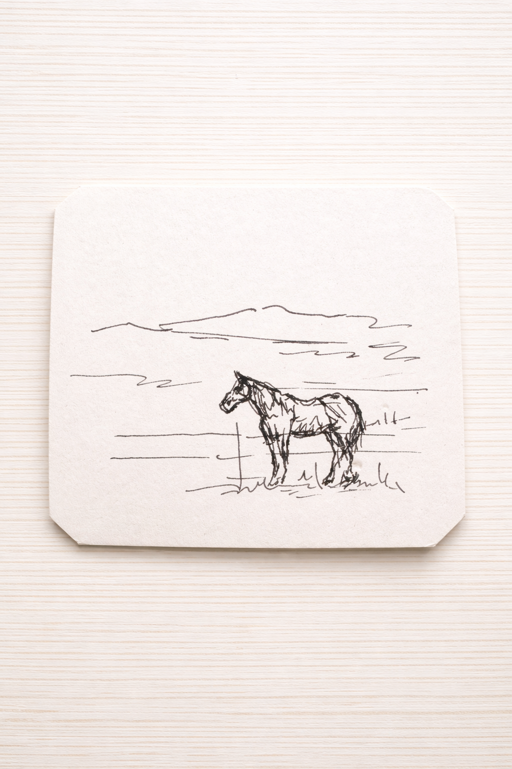 Tiny Horse Sketch- Original