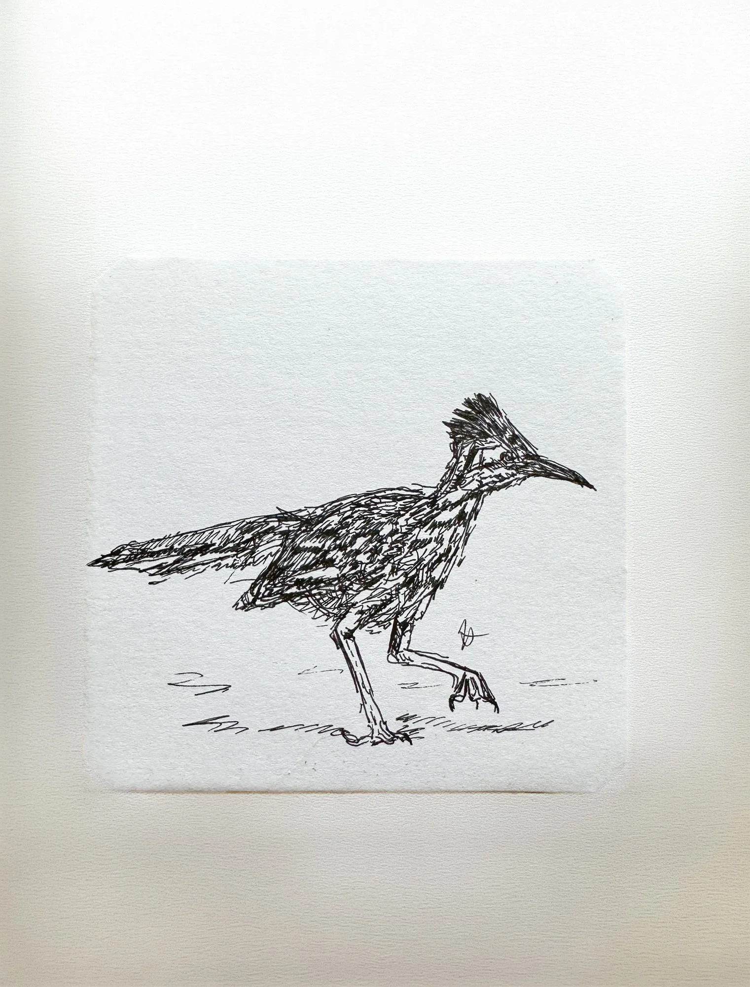 Roadrunner- Original
