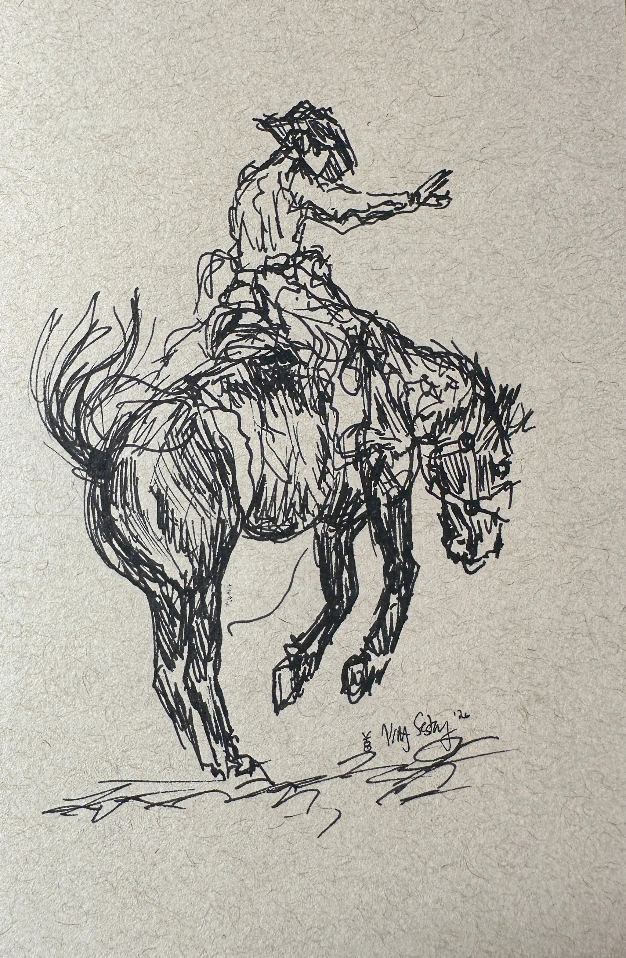Mini Bronc II.jpg
