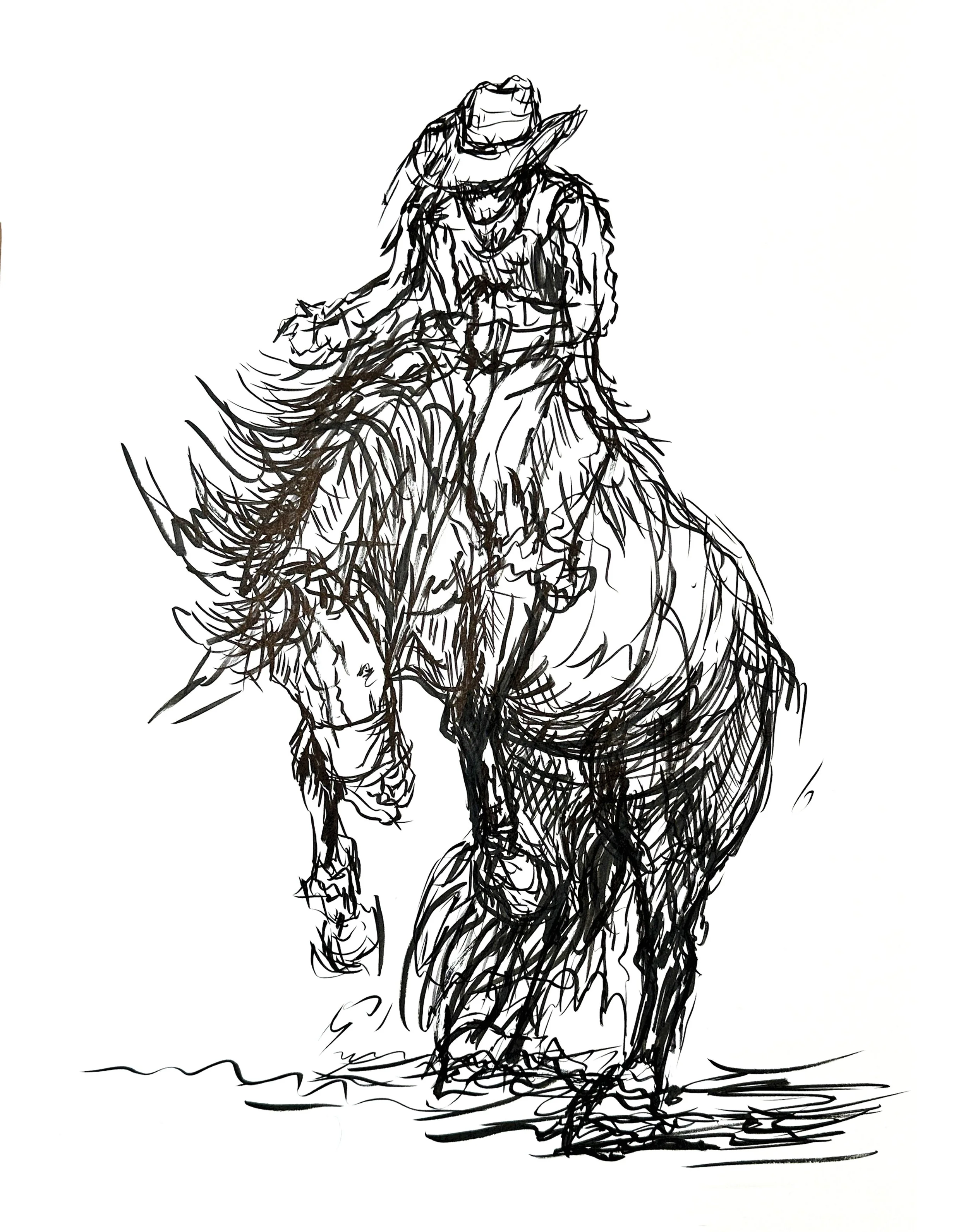 Rodeo Bronc_11x14.jpg
