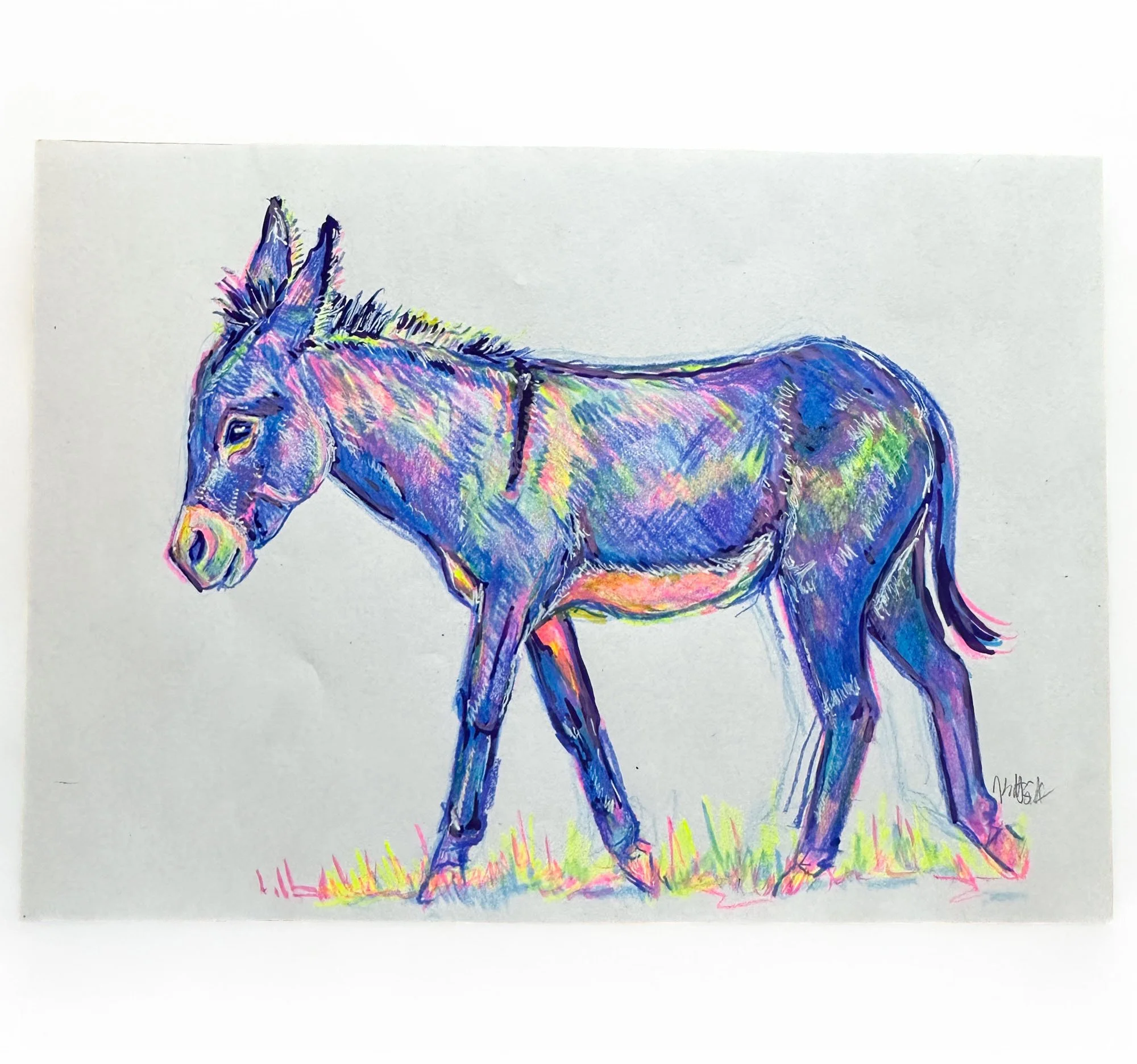 Fluorescent Fella- Original Sketch