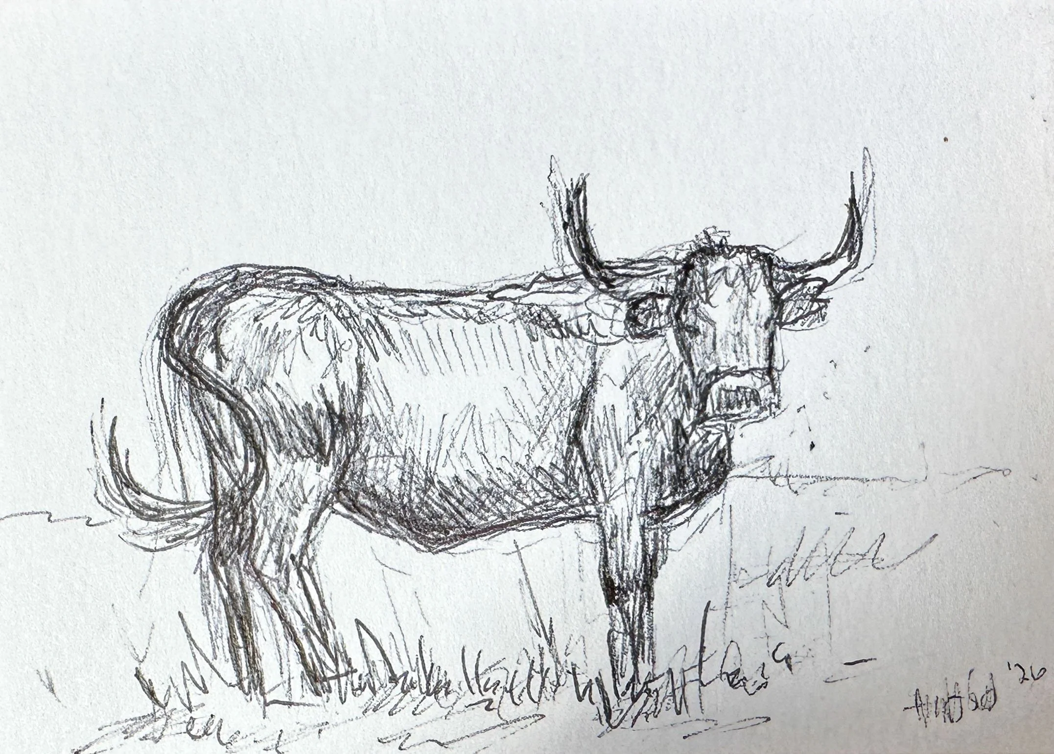 Fly Swatter- Mini Original