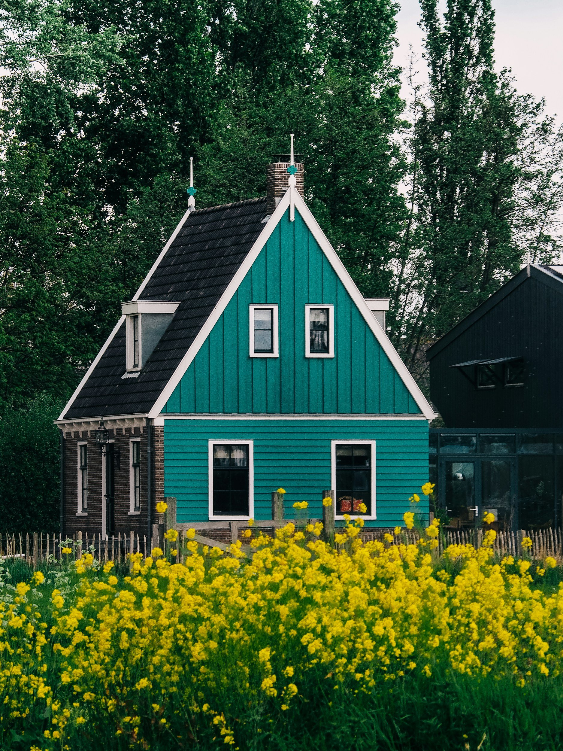 A colorful house with blue and teal siding, surrounded by yellow flowers and green trees in the background.