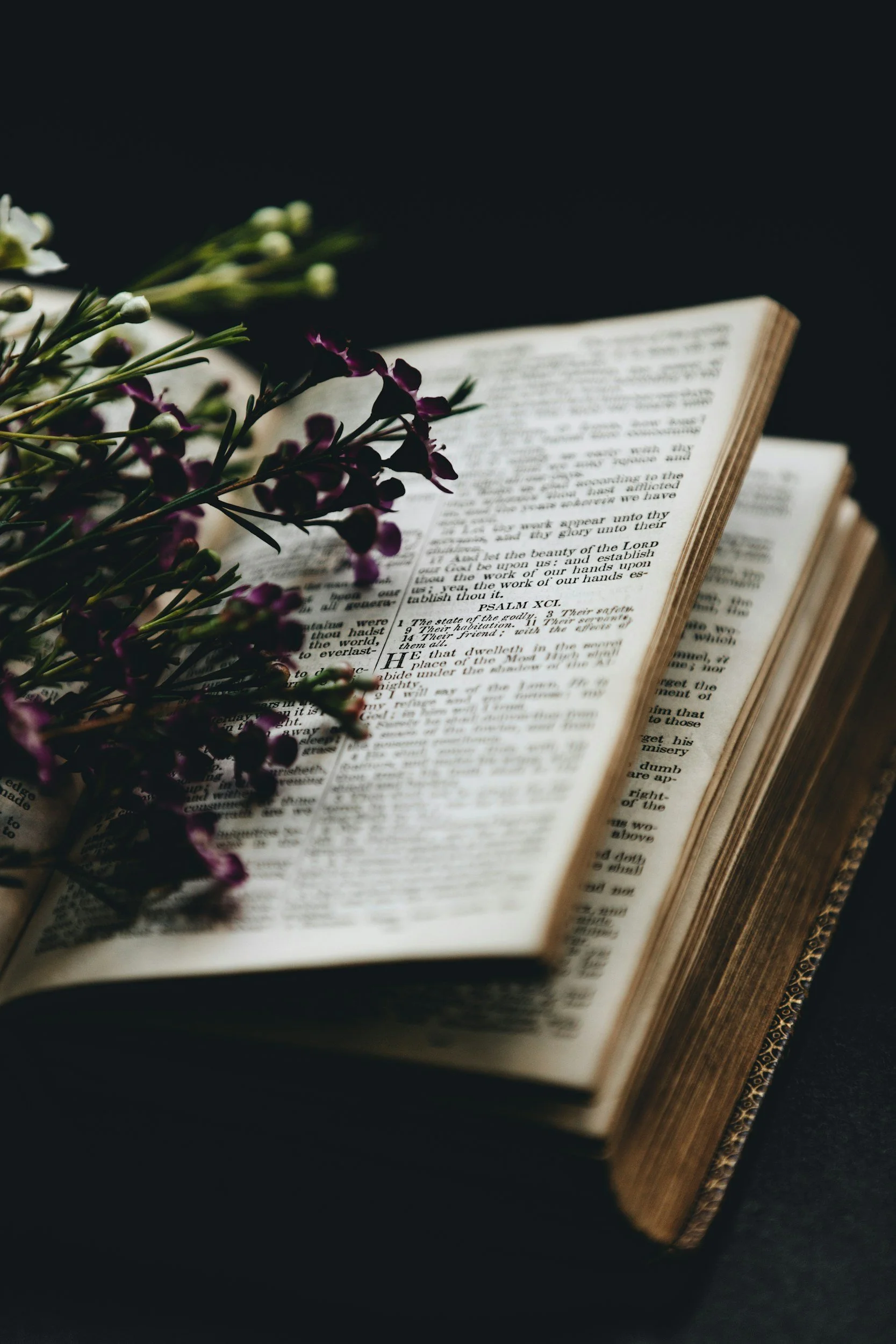 Women's Tuesday Morning Bible Study
