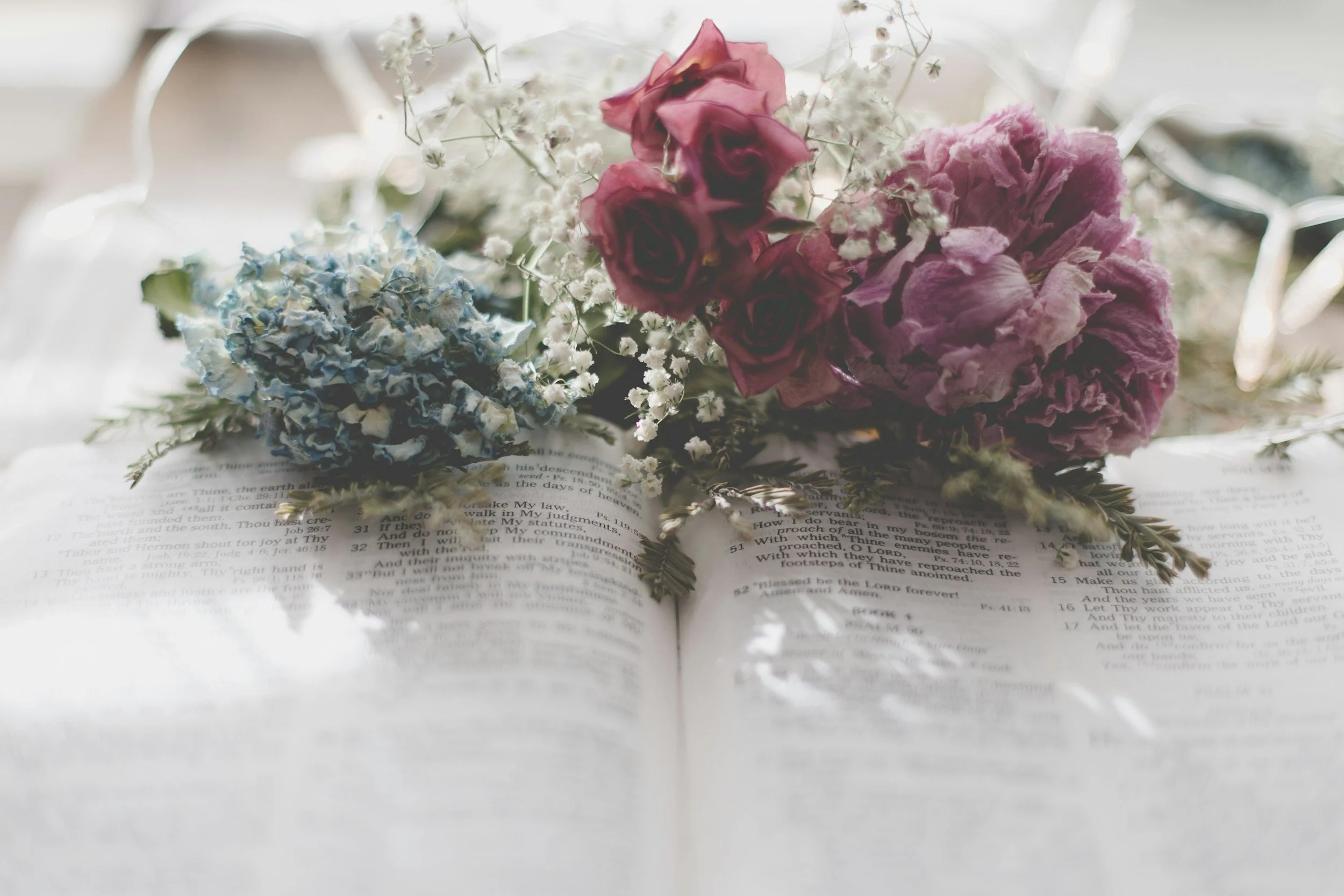 Precept Bible Study