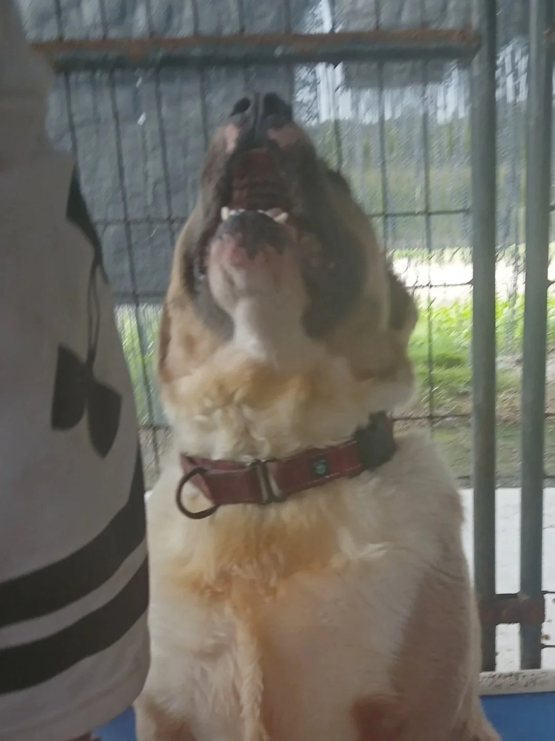 I bet that Zeah was not holding back here as she passionately states her position!