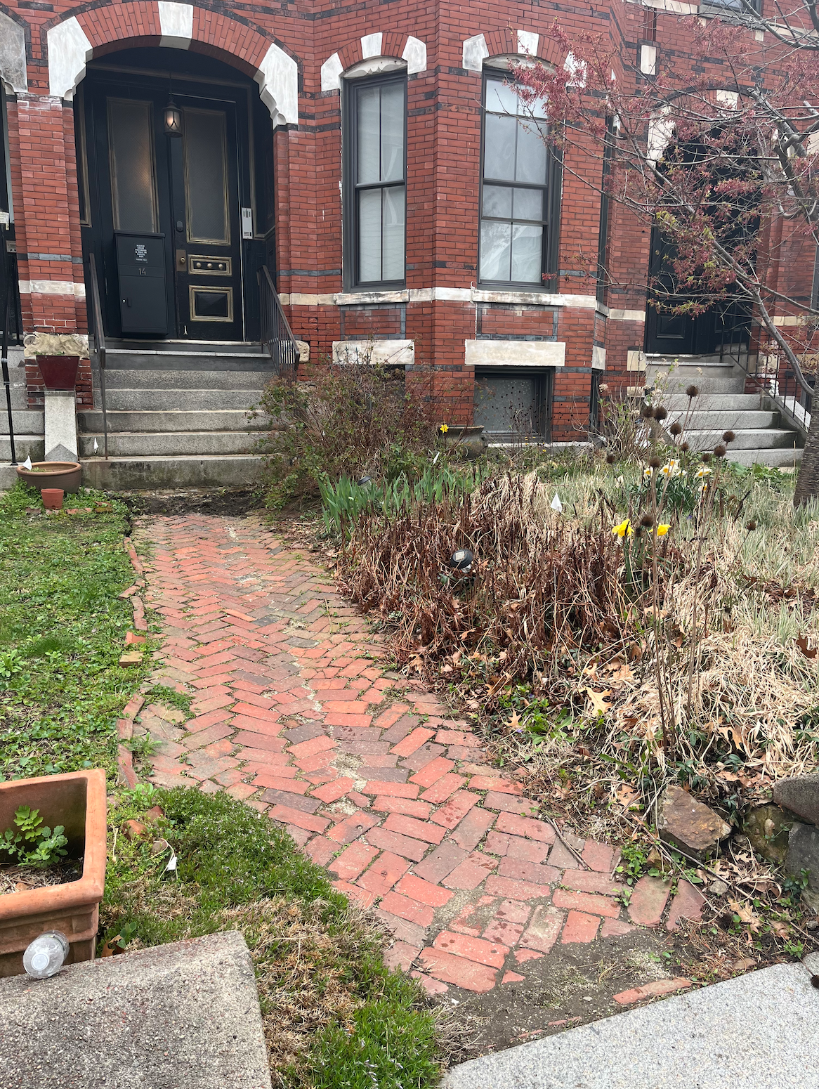 Brick townhouse with black doors and steps leading up to it, surrounded by a garden with a brick pathway, plants, and dry flowers.