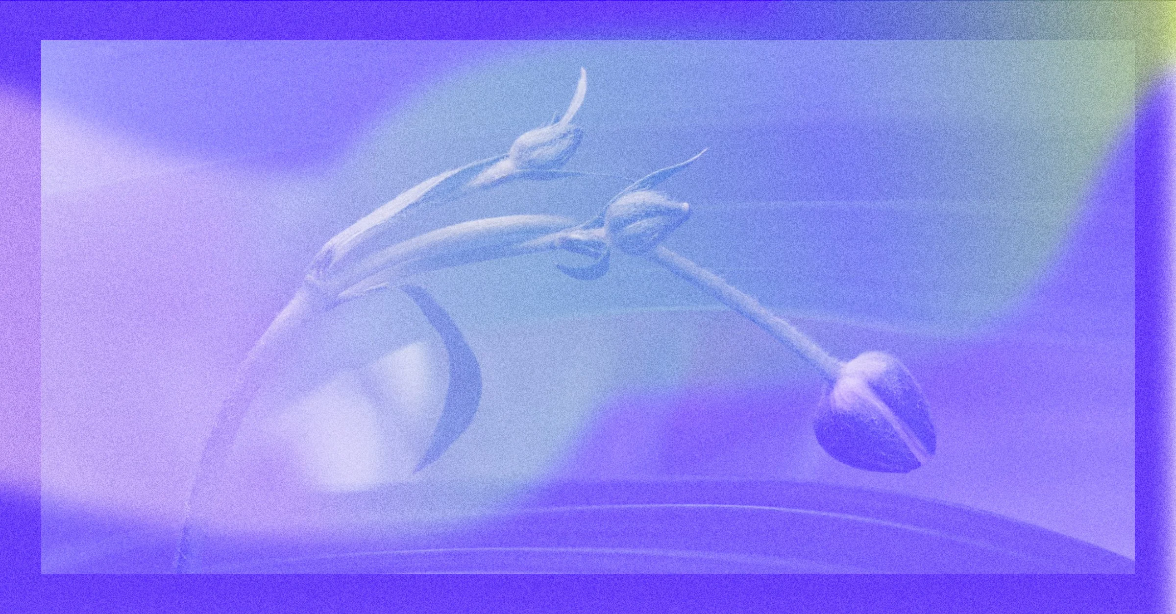 The future of creative careers depends on how we build space for growth.