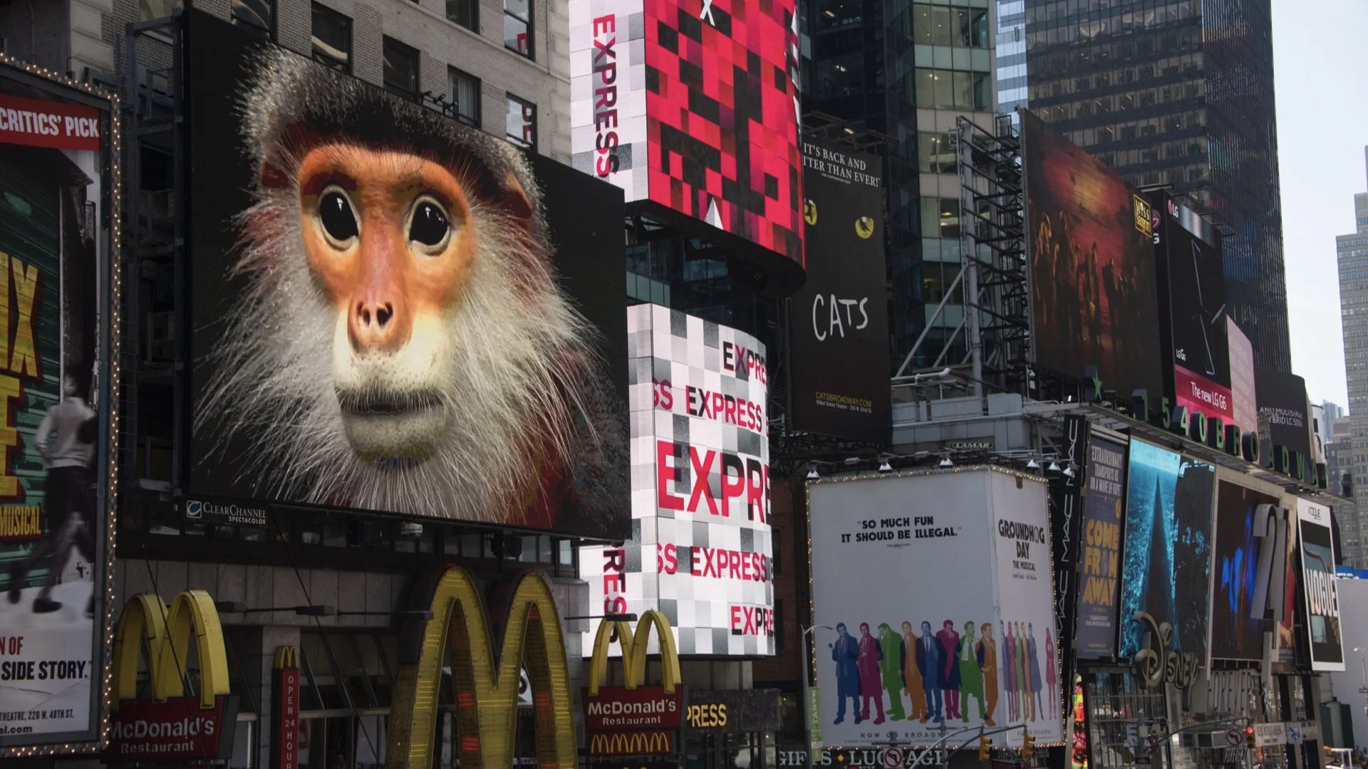 Billboards and screens in Times Square, New York City, featuring National Geographic Photo Ark images of a black-shanked douc langur monkey.